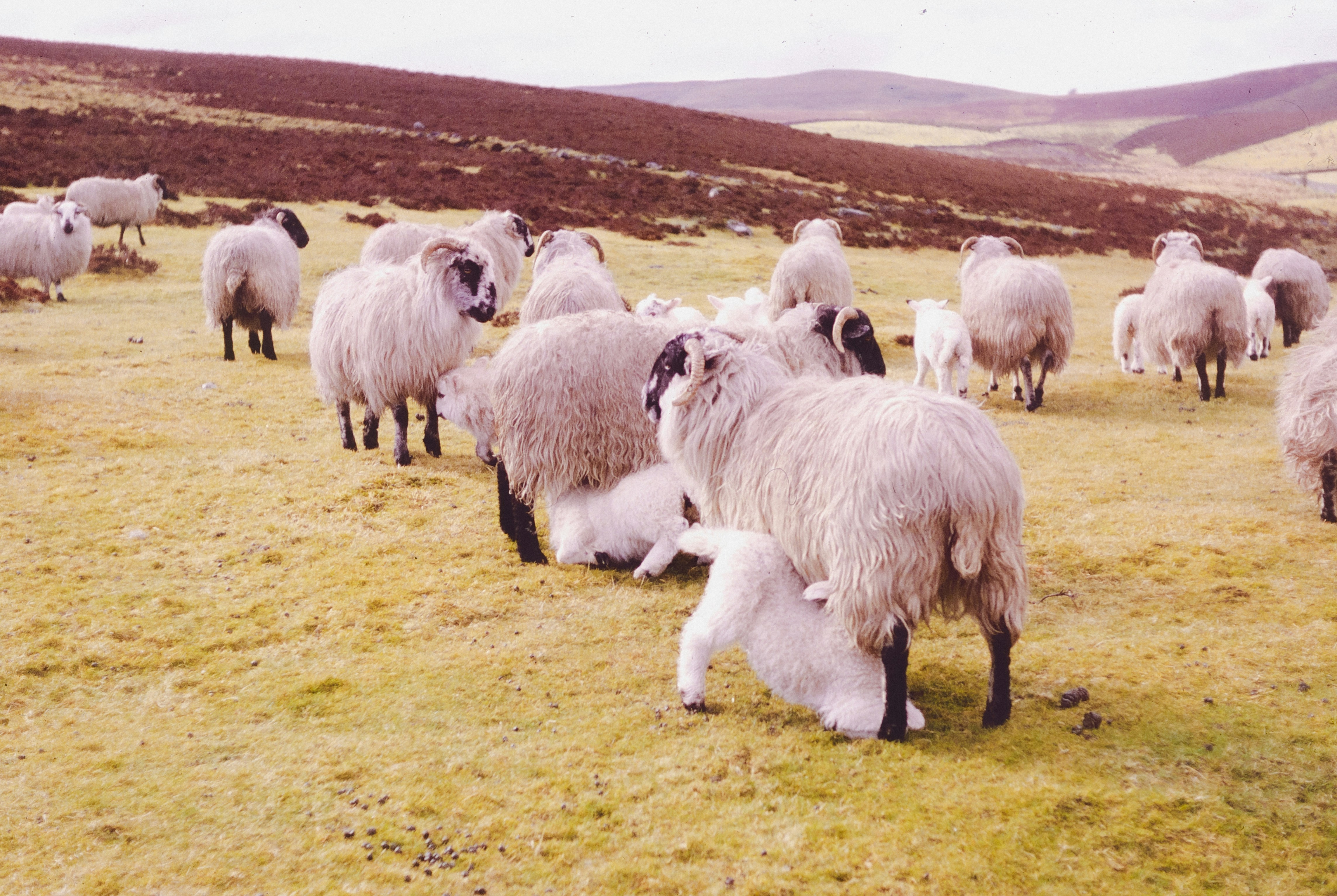 Photo by anniespratt