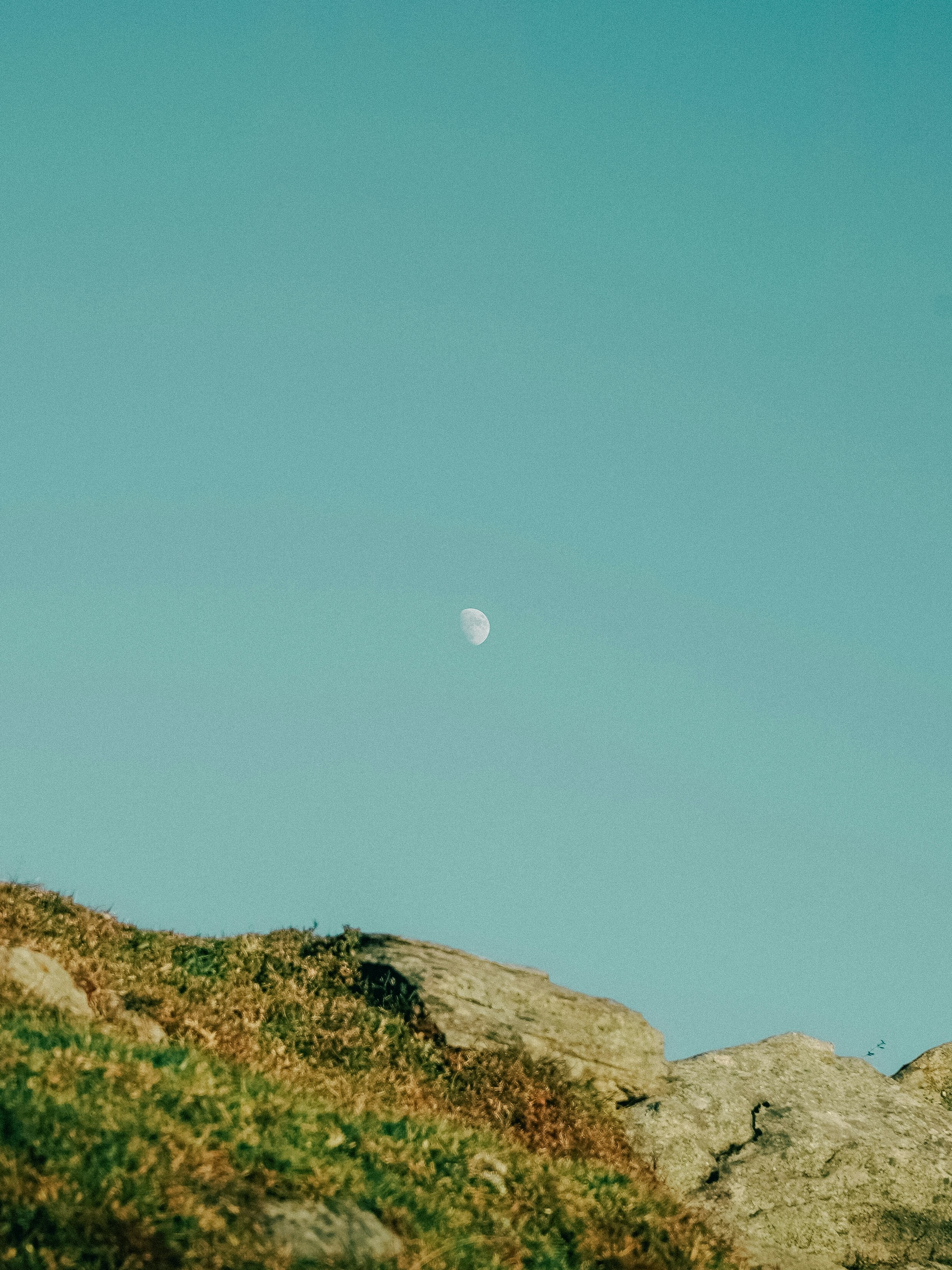 Photo by iatulp