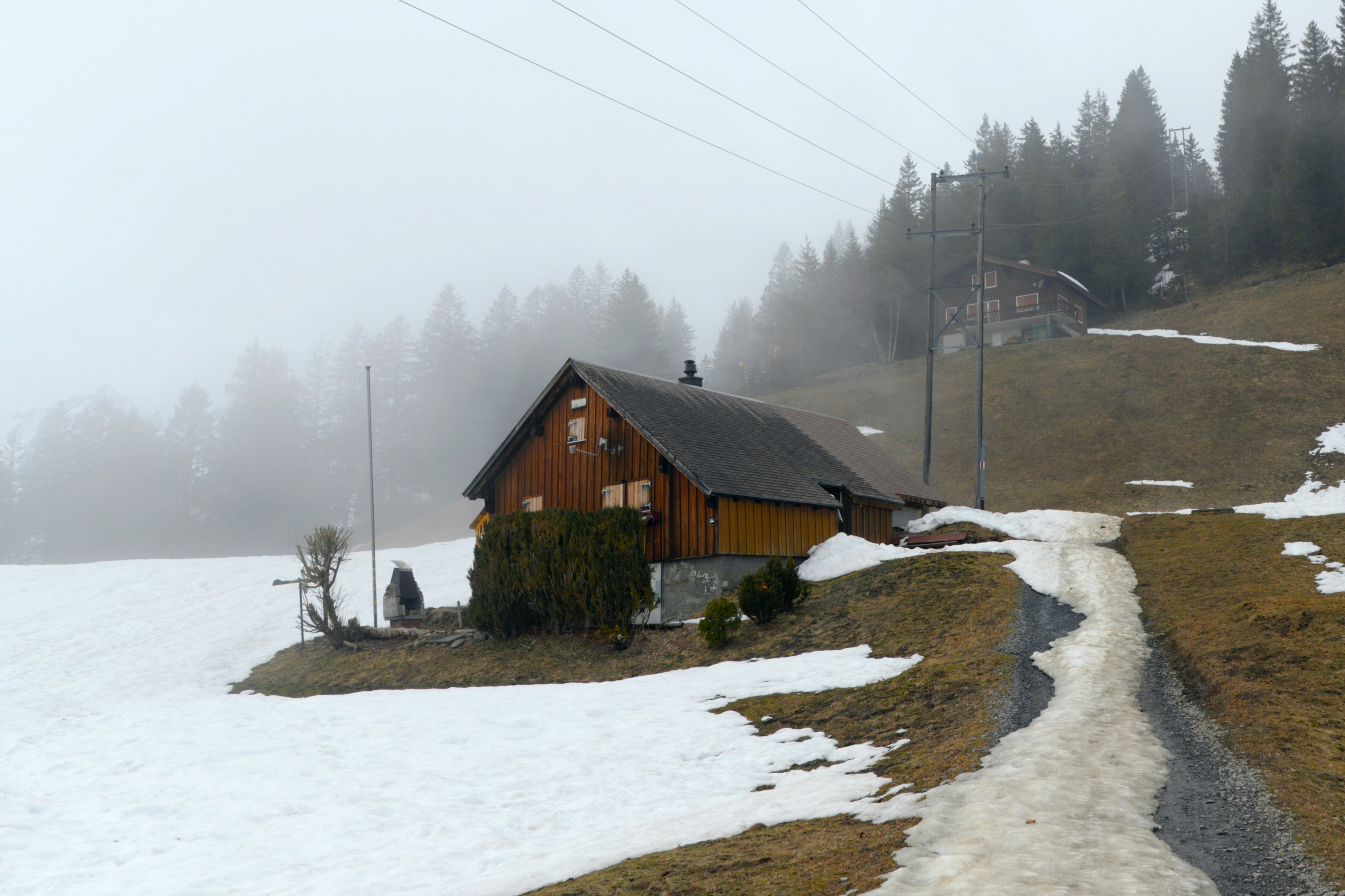 Wooden house on a snowy hill with trees