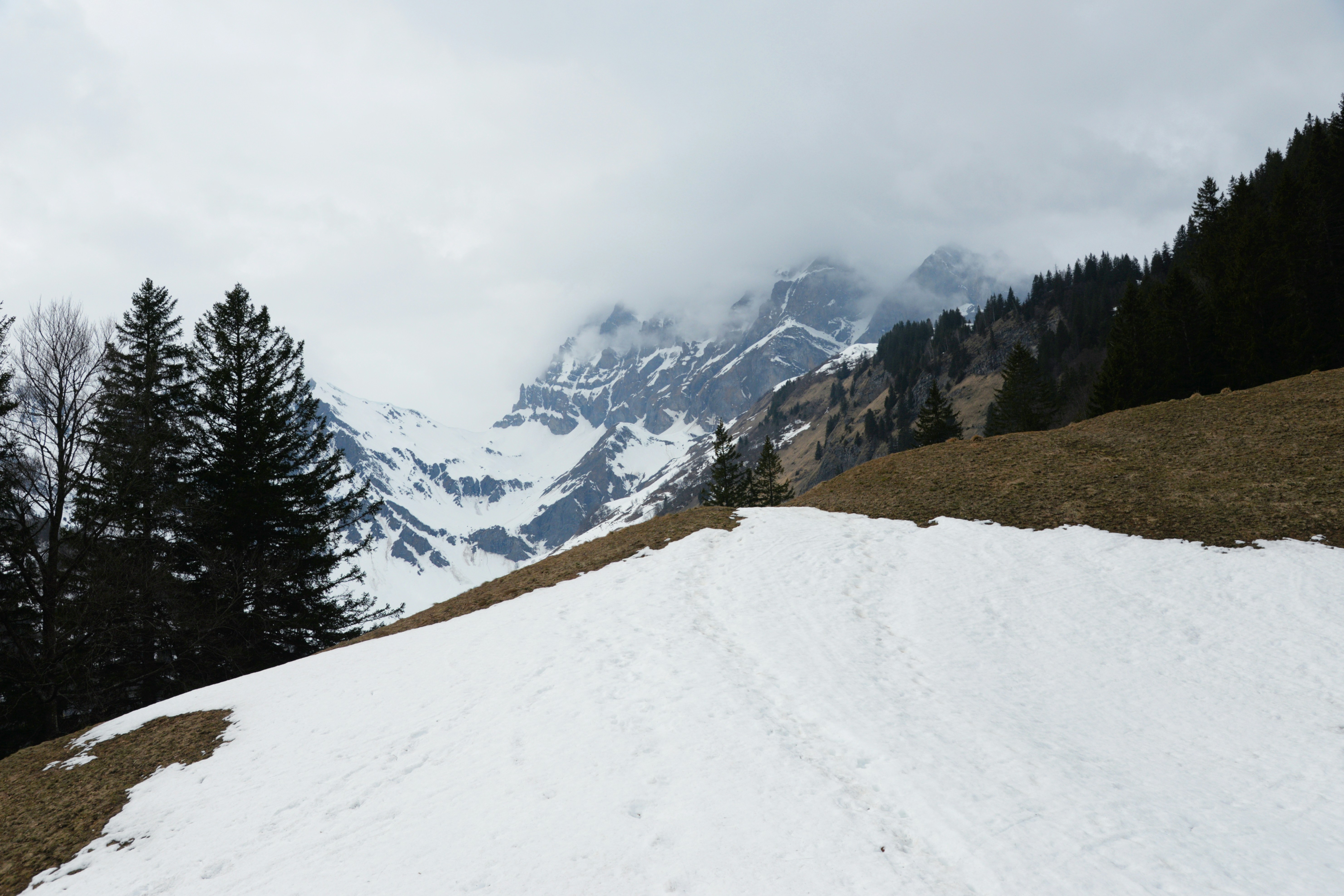 Snowy mountain path with evergreen trees and cloudy sky