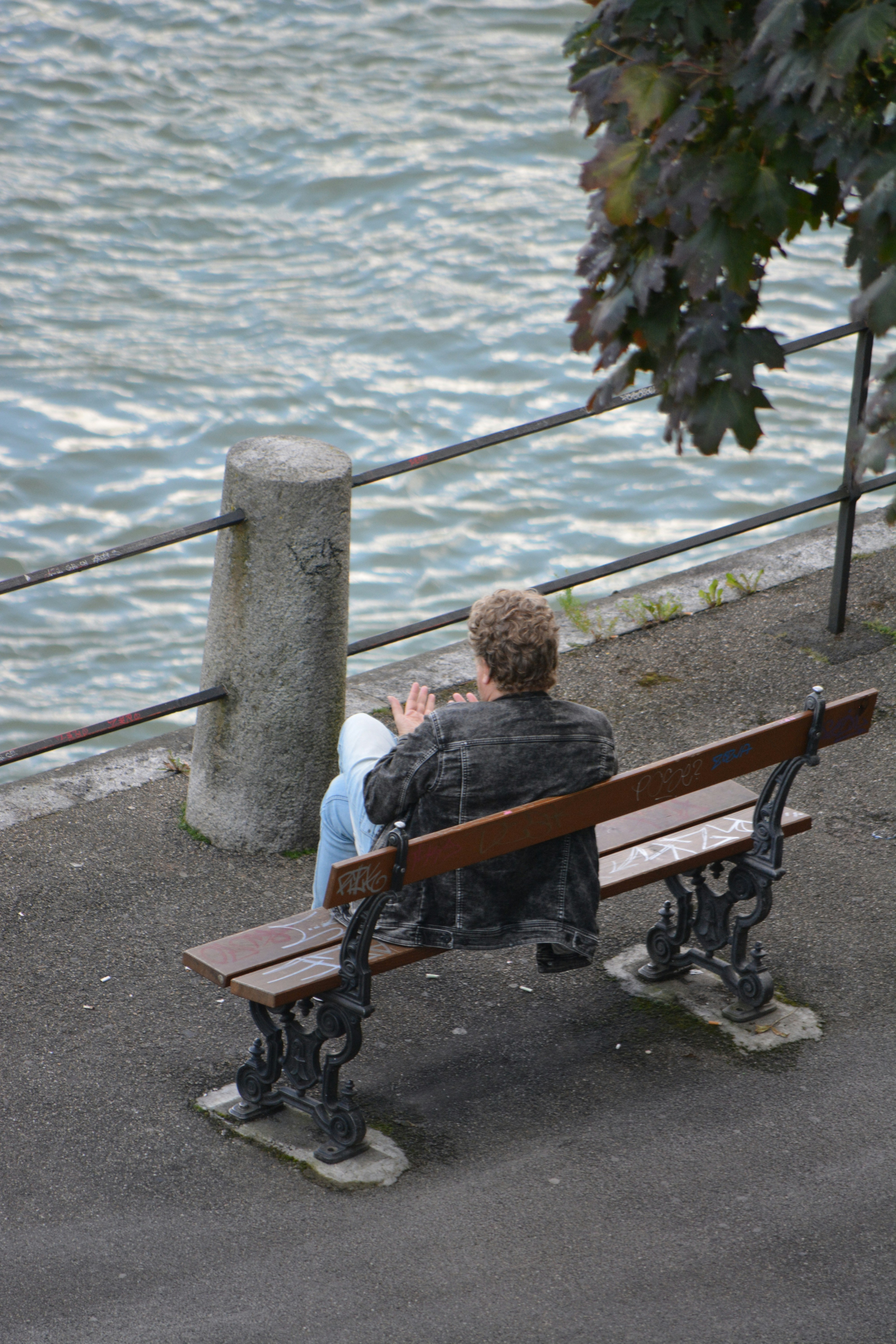 Person sitting on a park bench by the water photo – Free Basel Image on ...