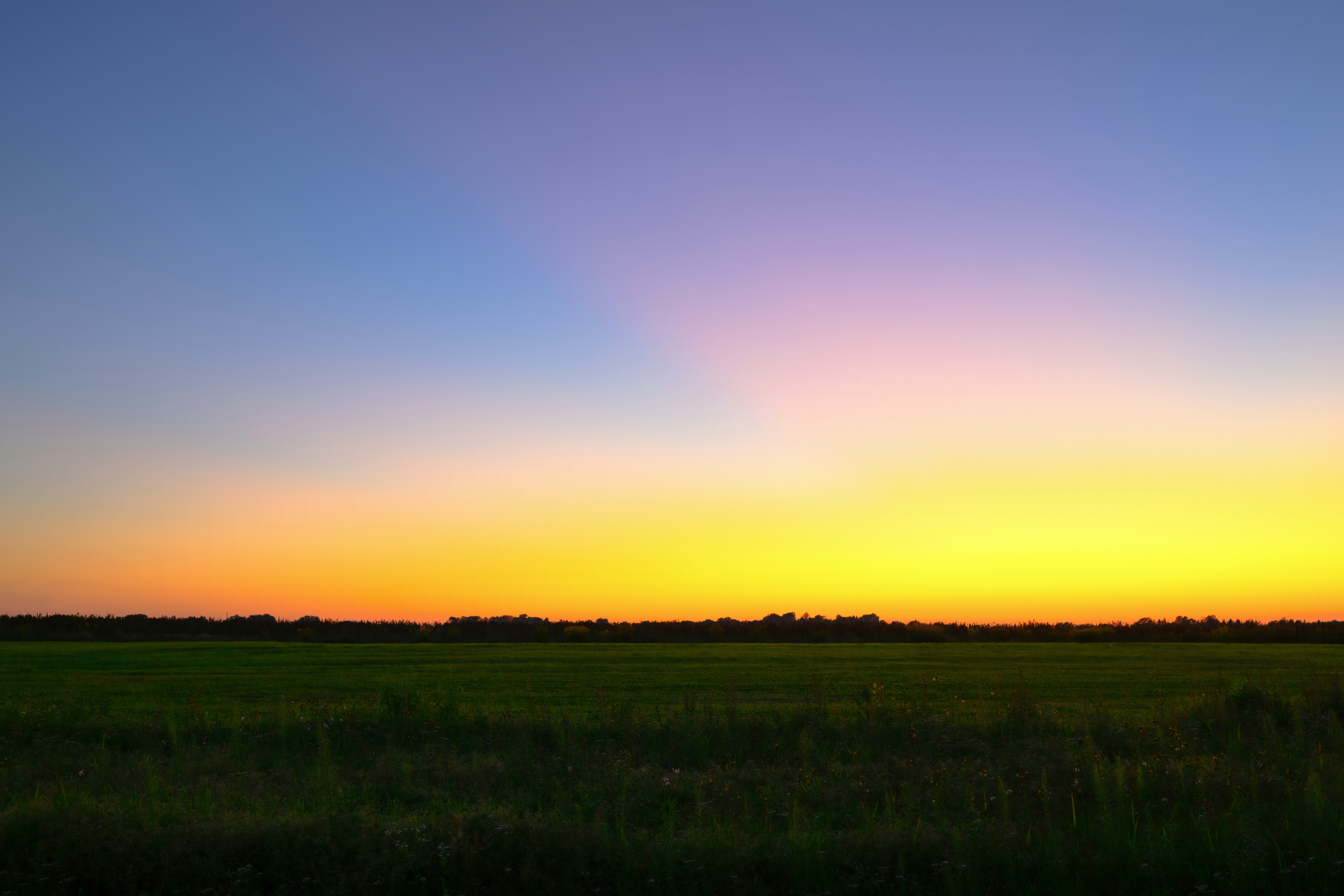 Photo by kristapsungurs