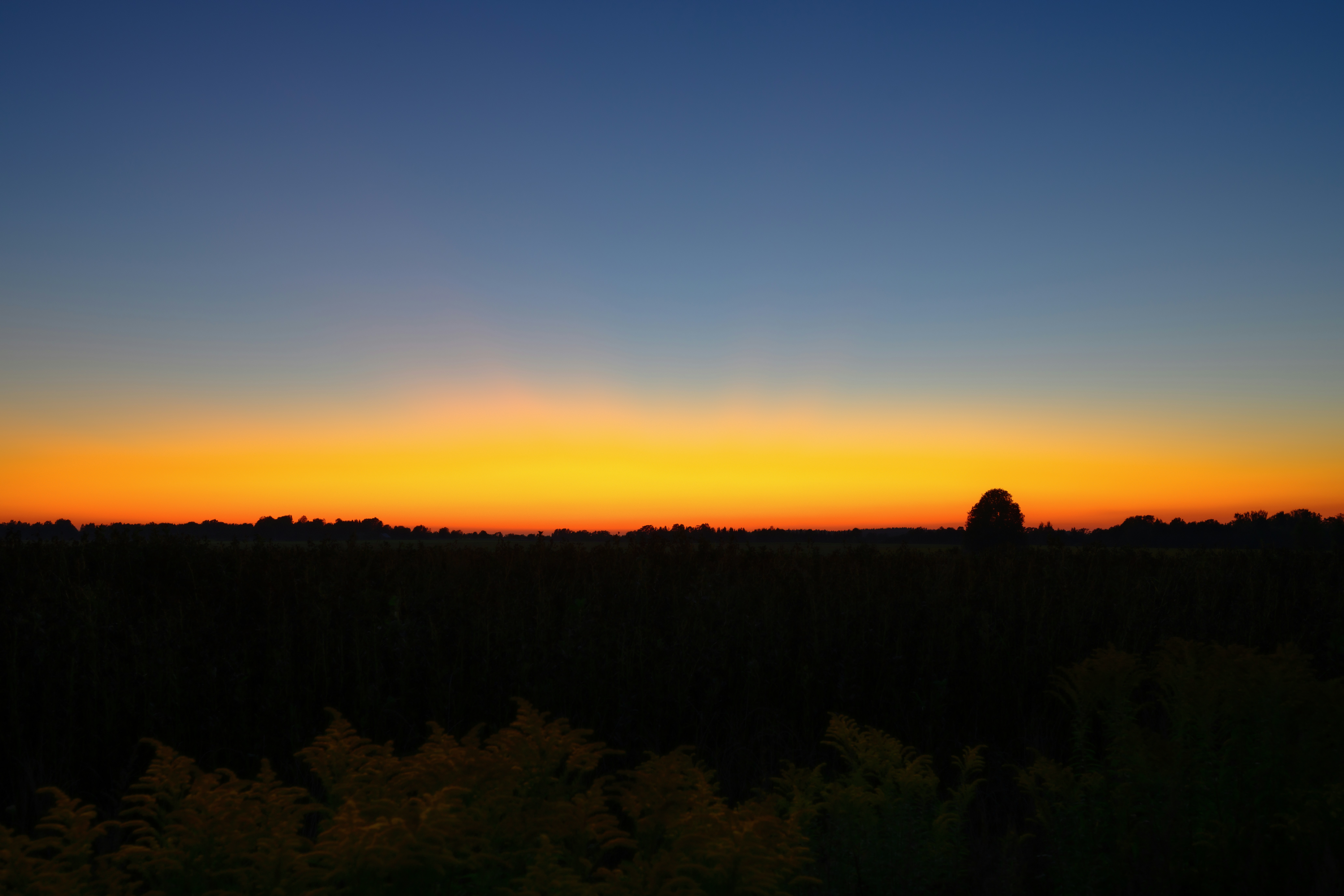 Photo by kristapsungurs