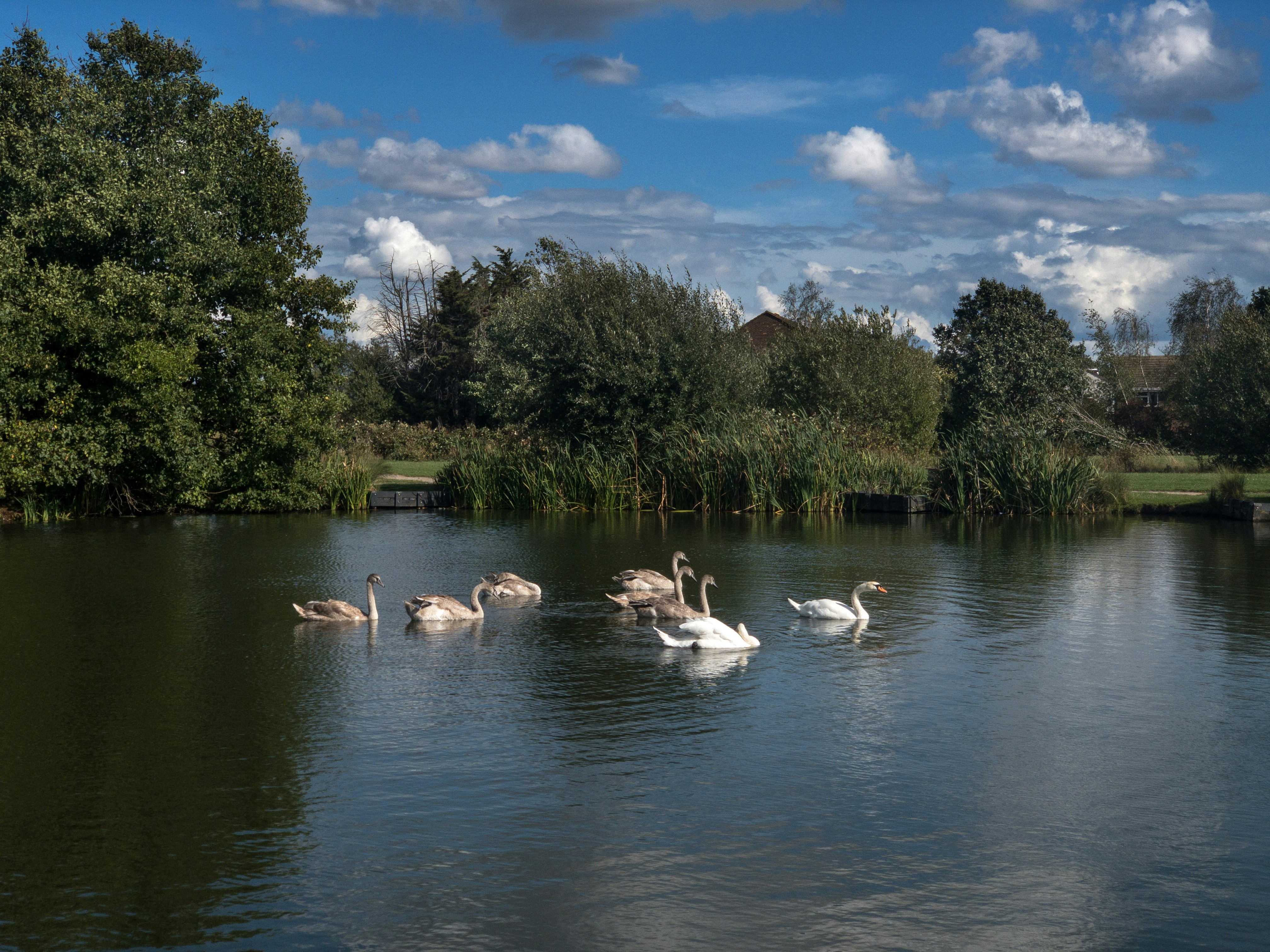 Photo by brett_jordan