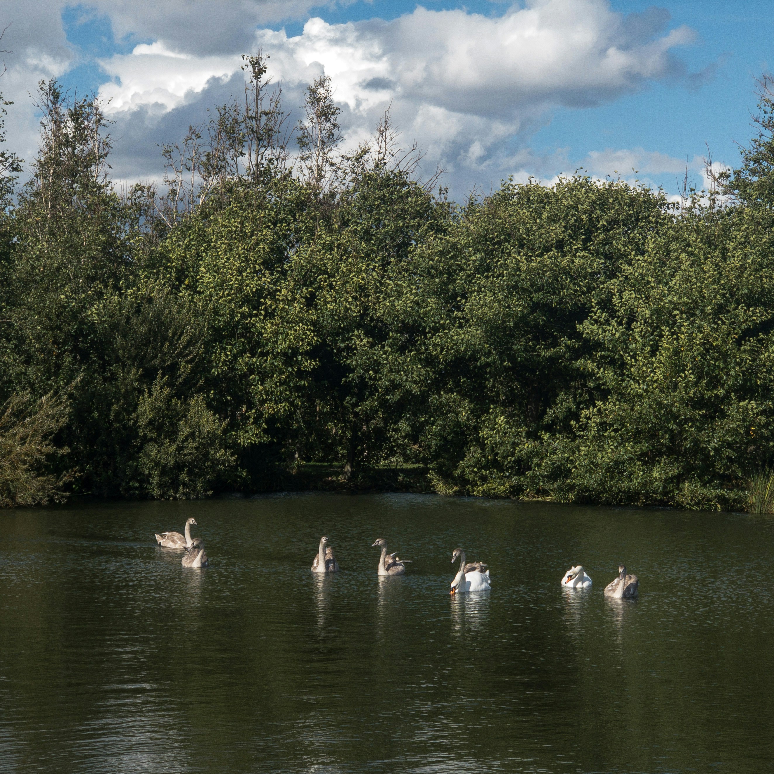 Photo by brett_jordan