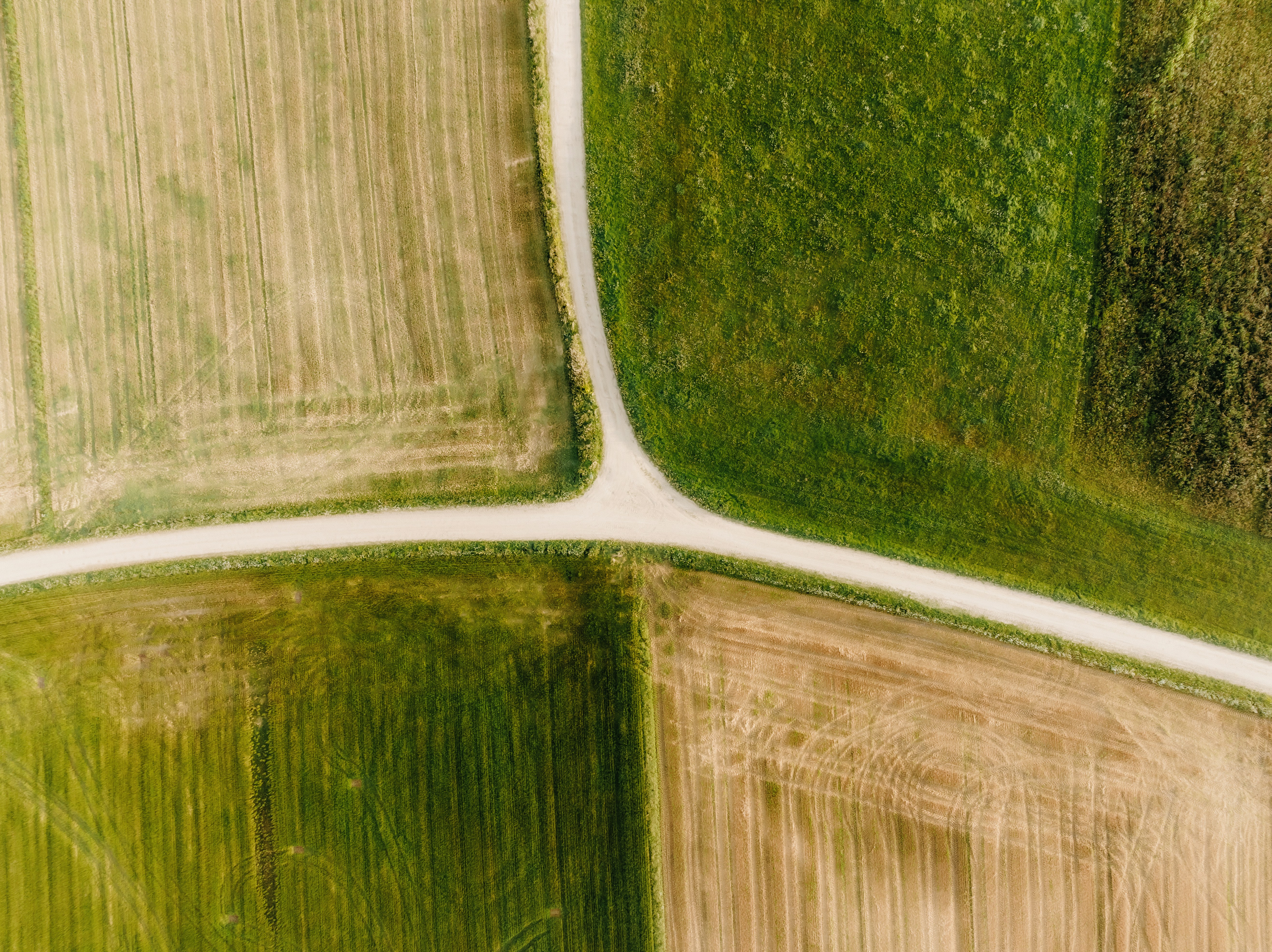 Photo by kristapsungurs