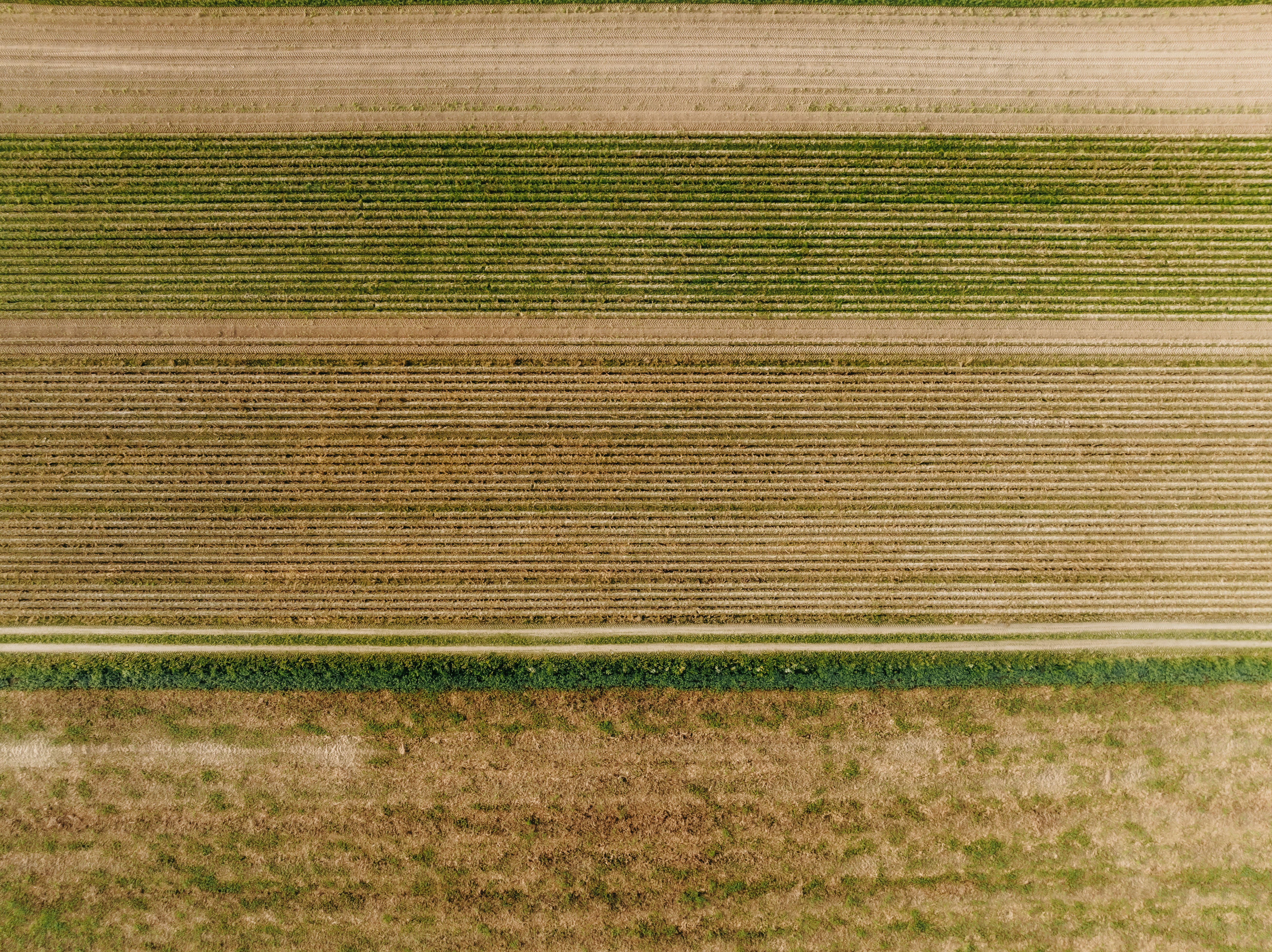 Photo by kristapsungurs