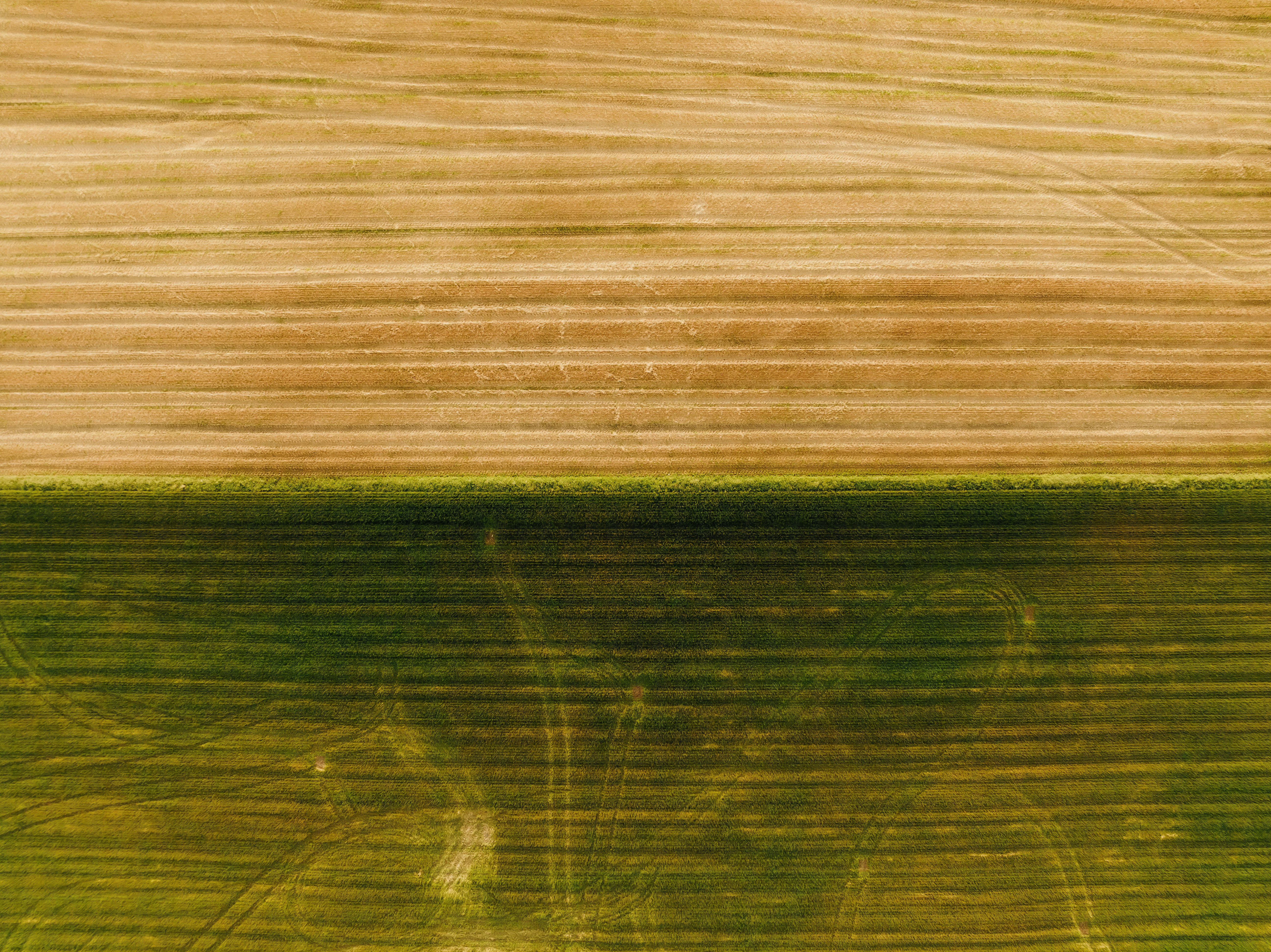 Photo by kristapsungurs