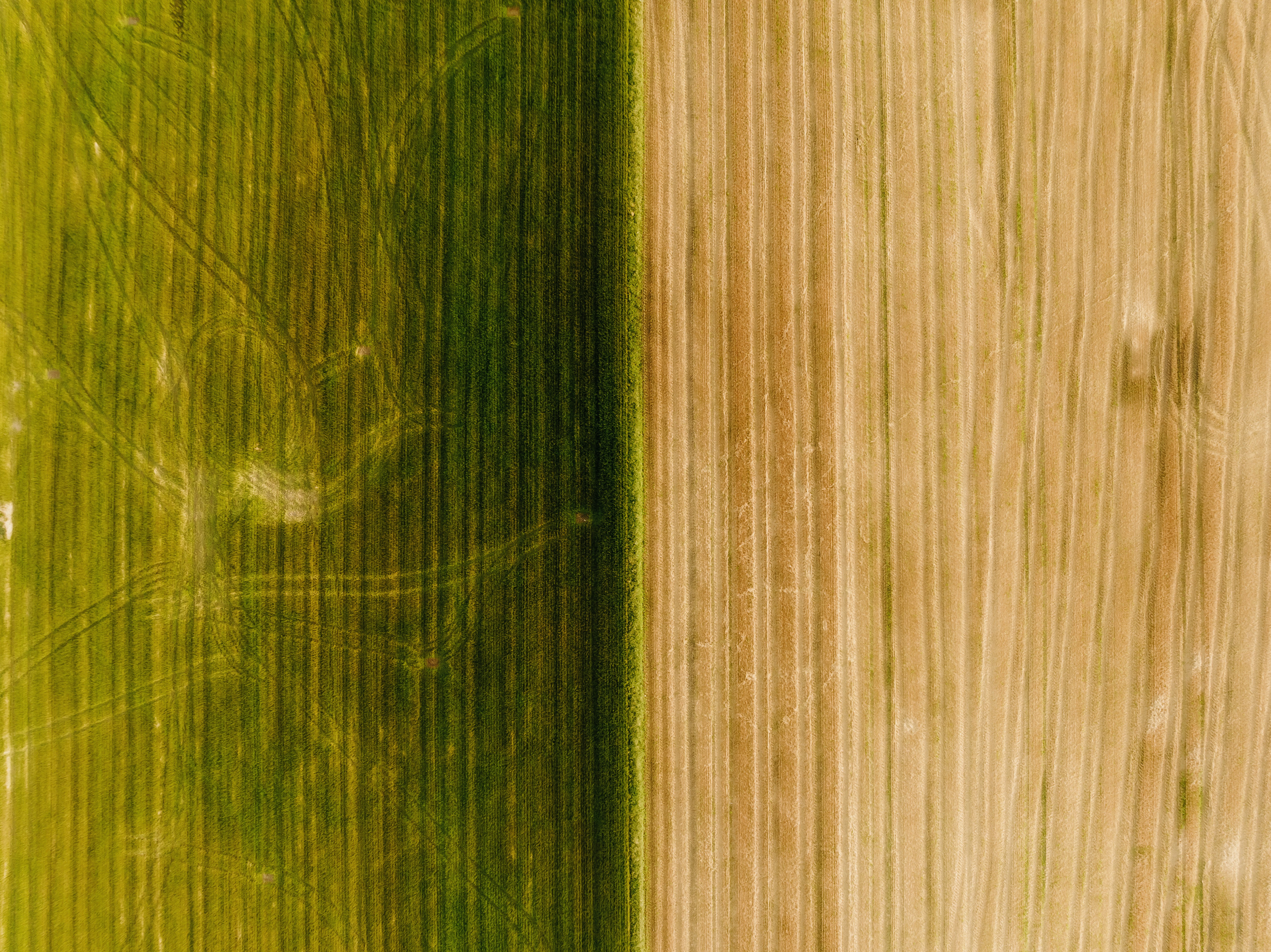 Photo by kristapsungurs