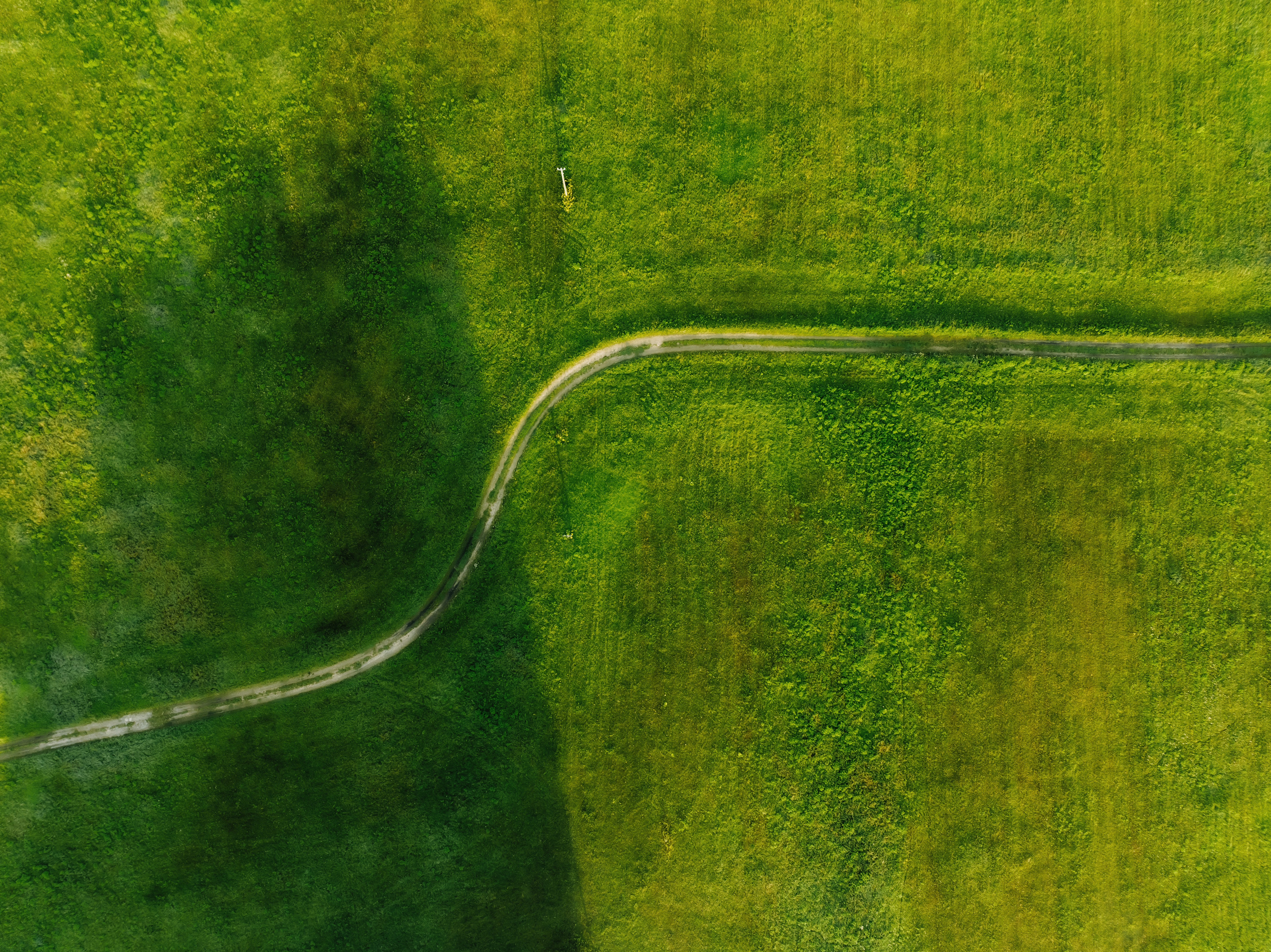 Photo by kristapsungurs