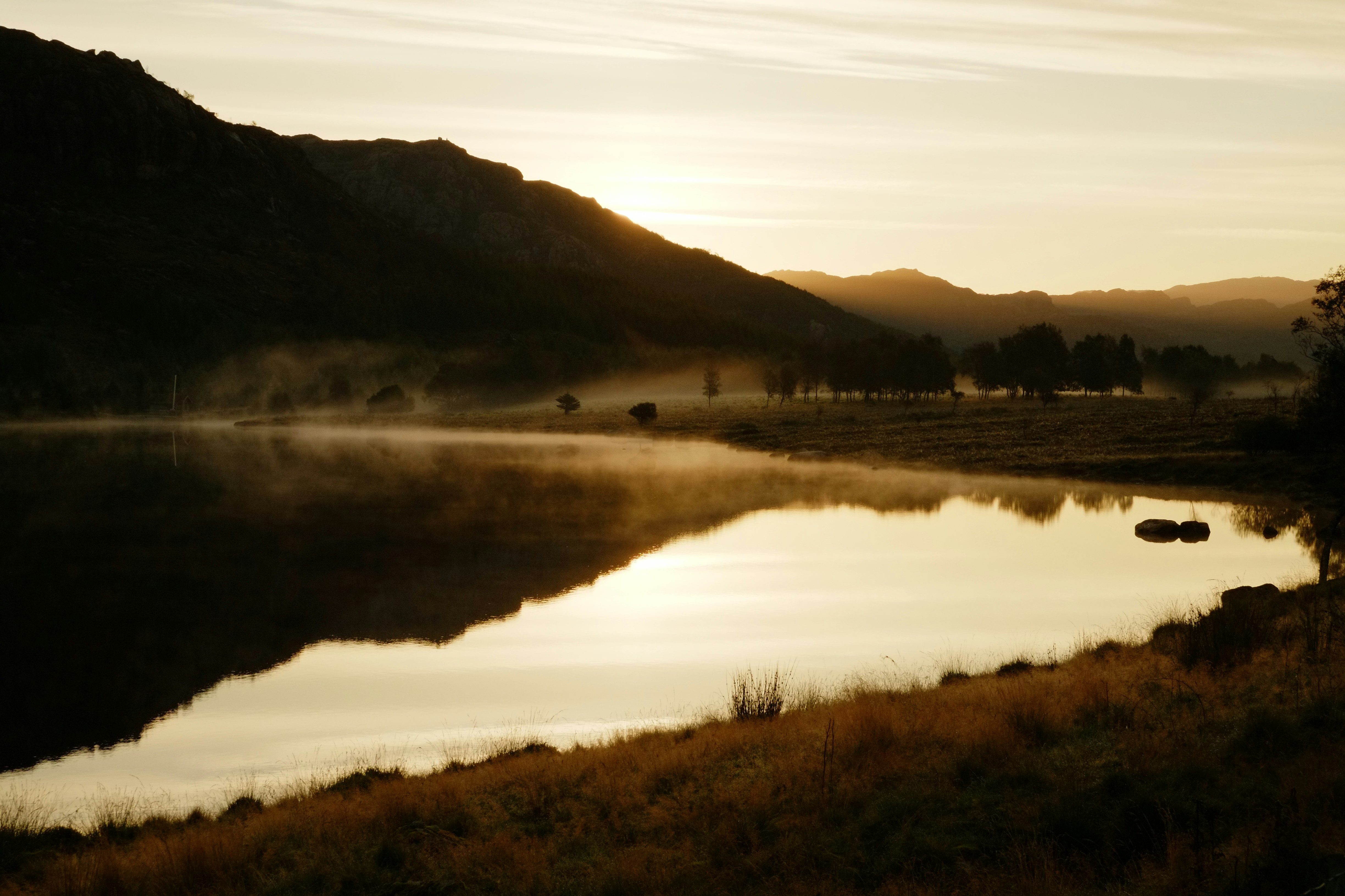 Photo by bernhardbar