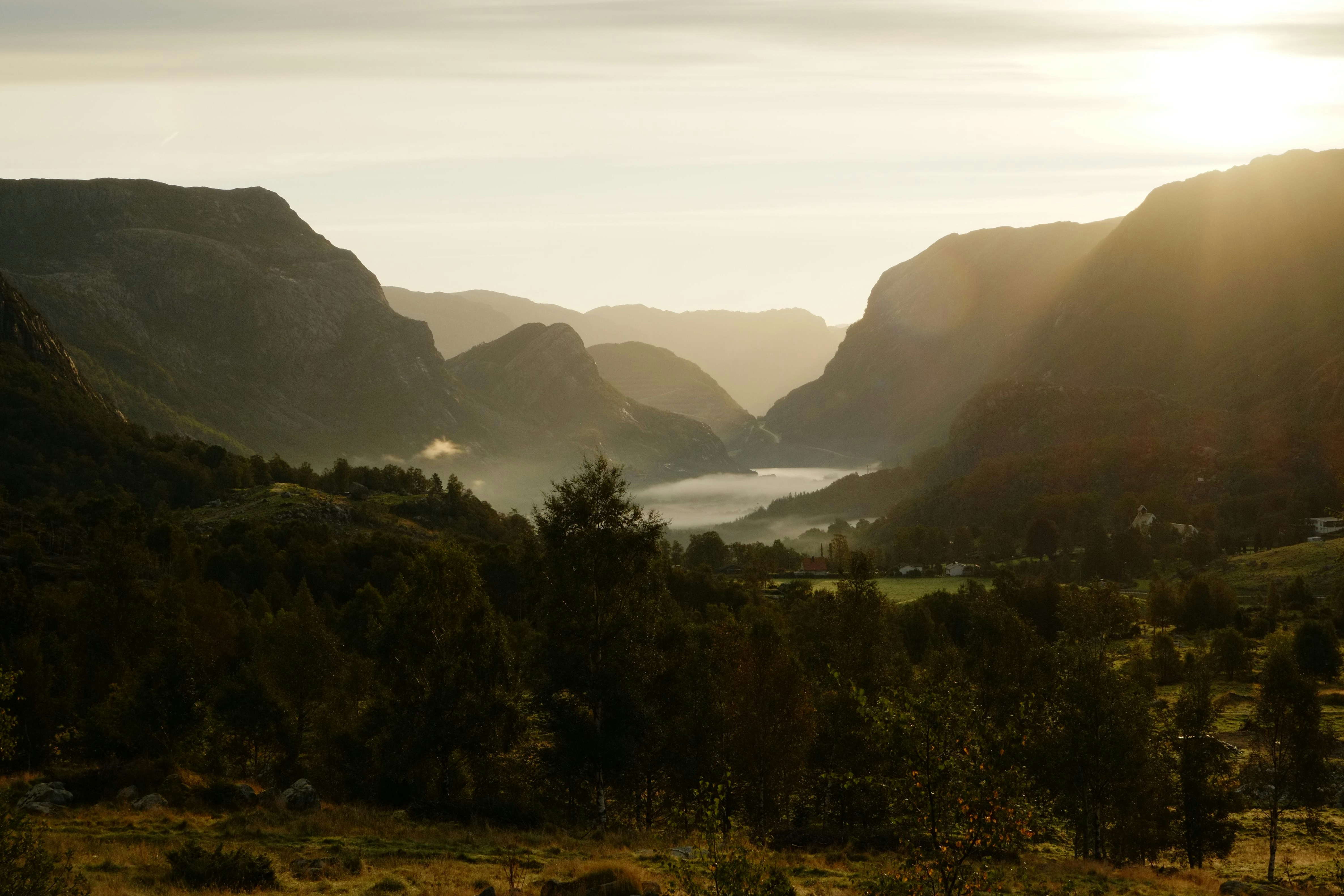 Photo by bernhardbar