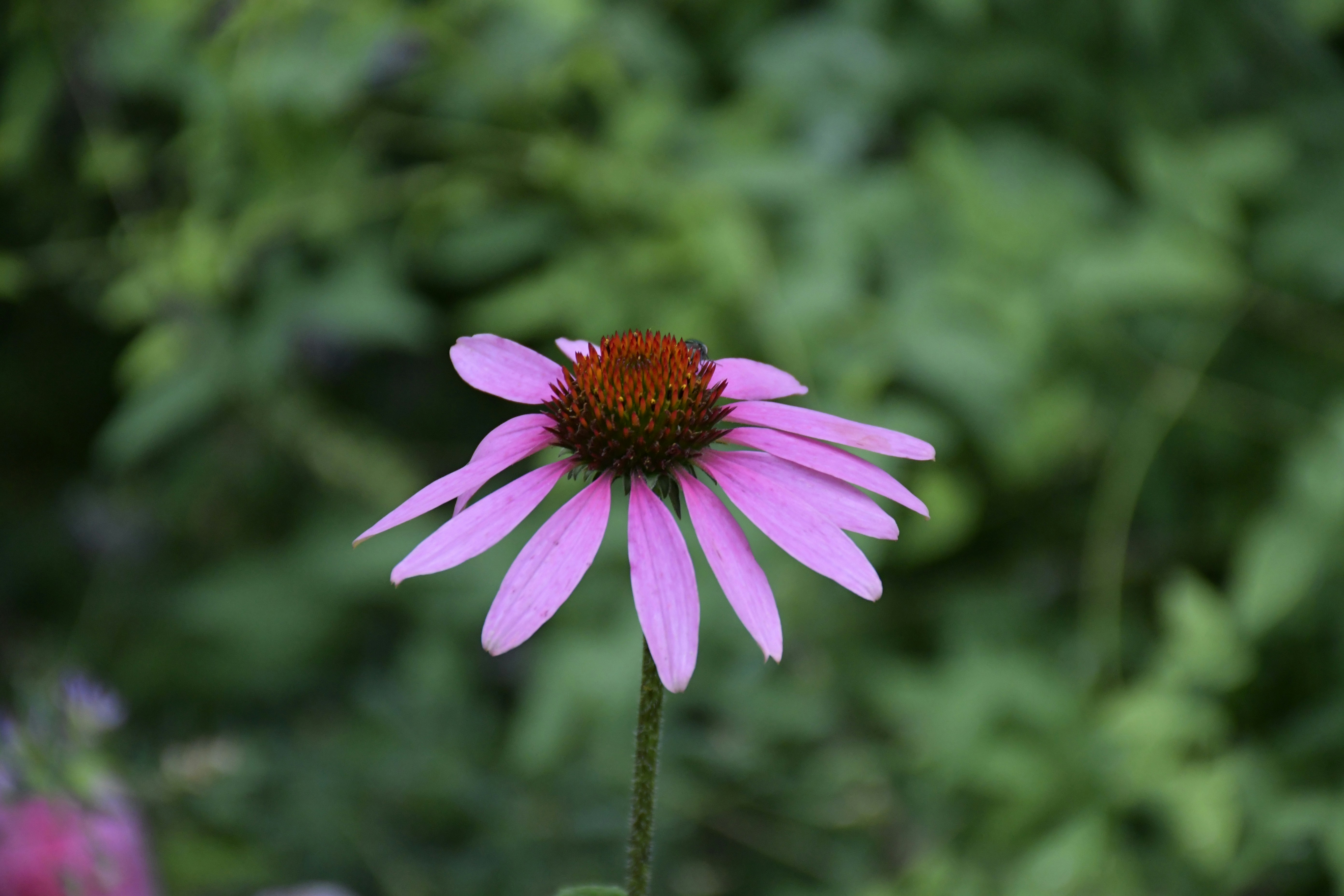 Photo by gabrial1819