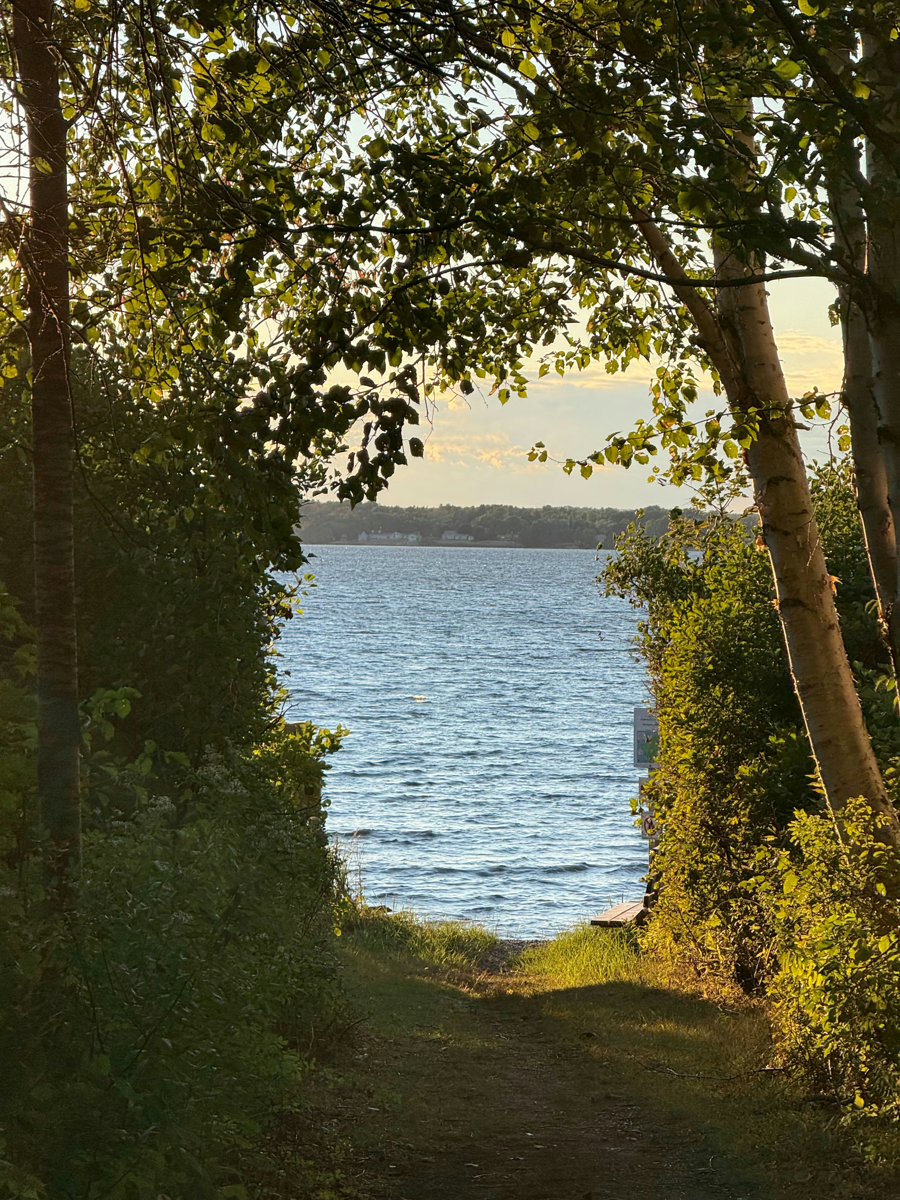 Photo by kammal92828