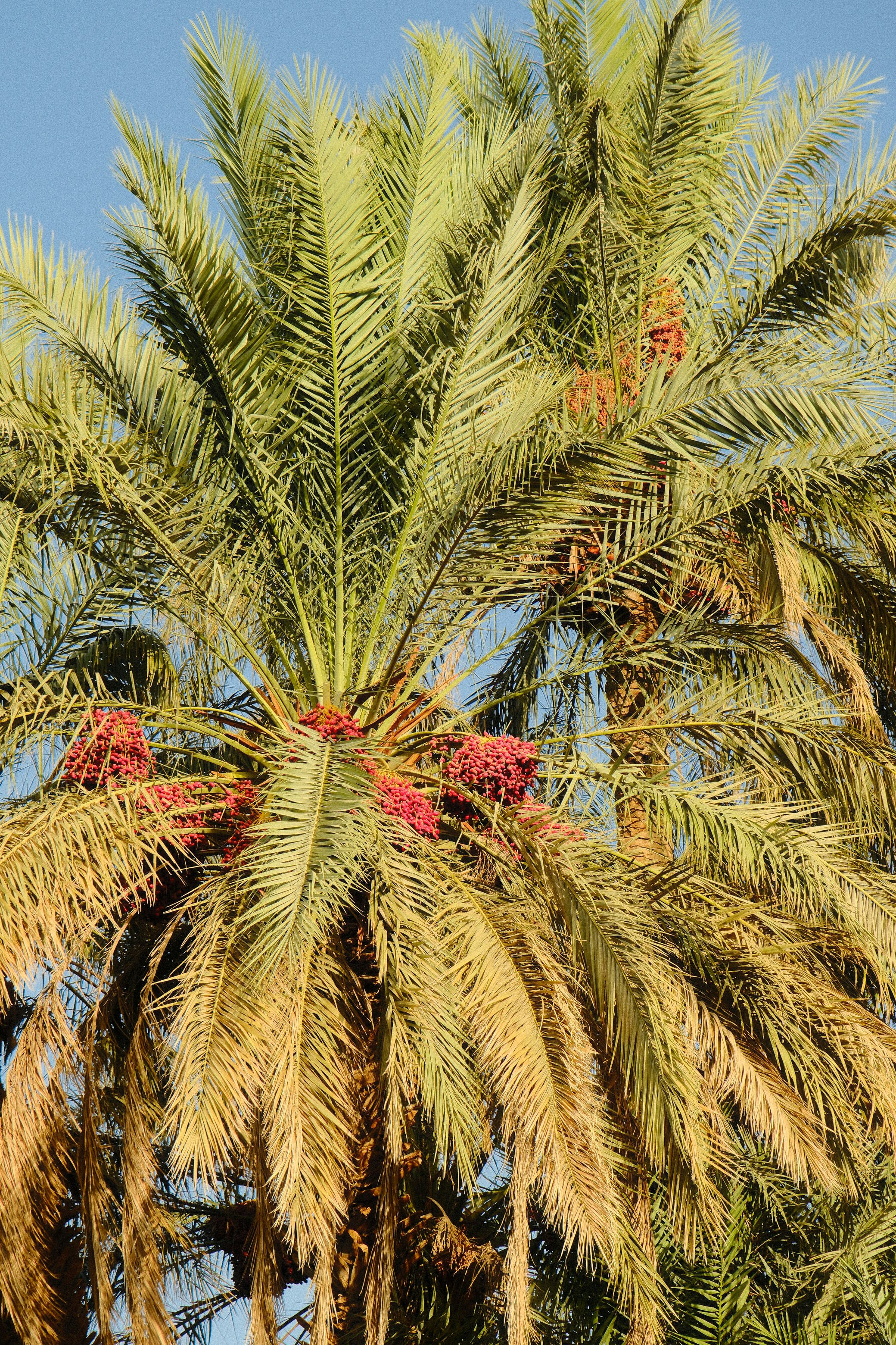 Photo by raulmermans