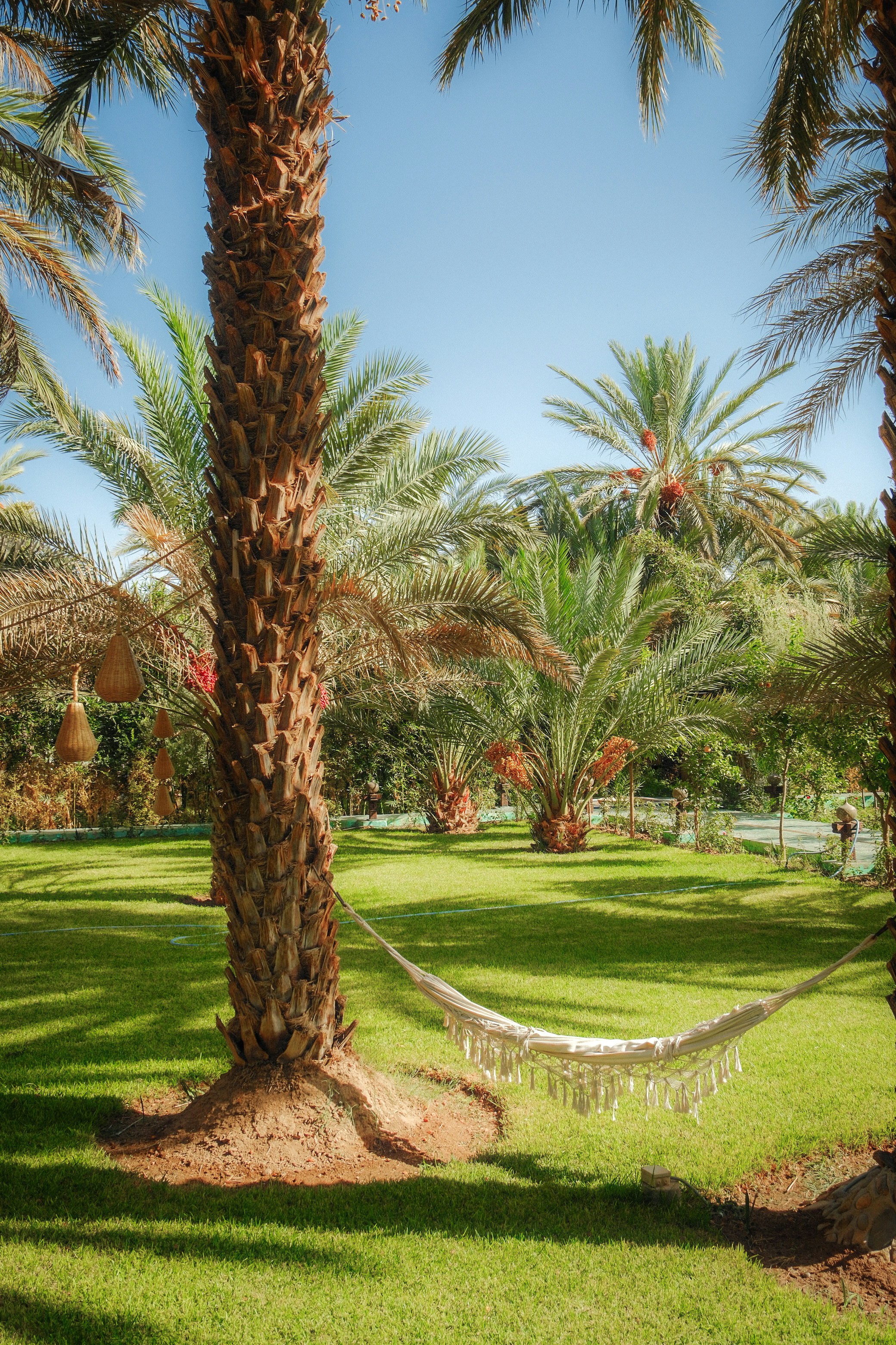 Photo by raulmermans