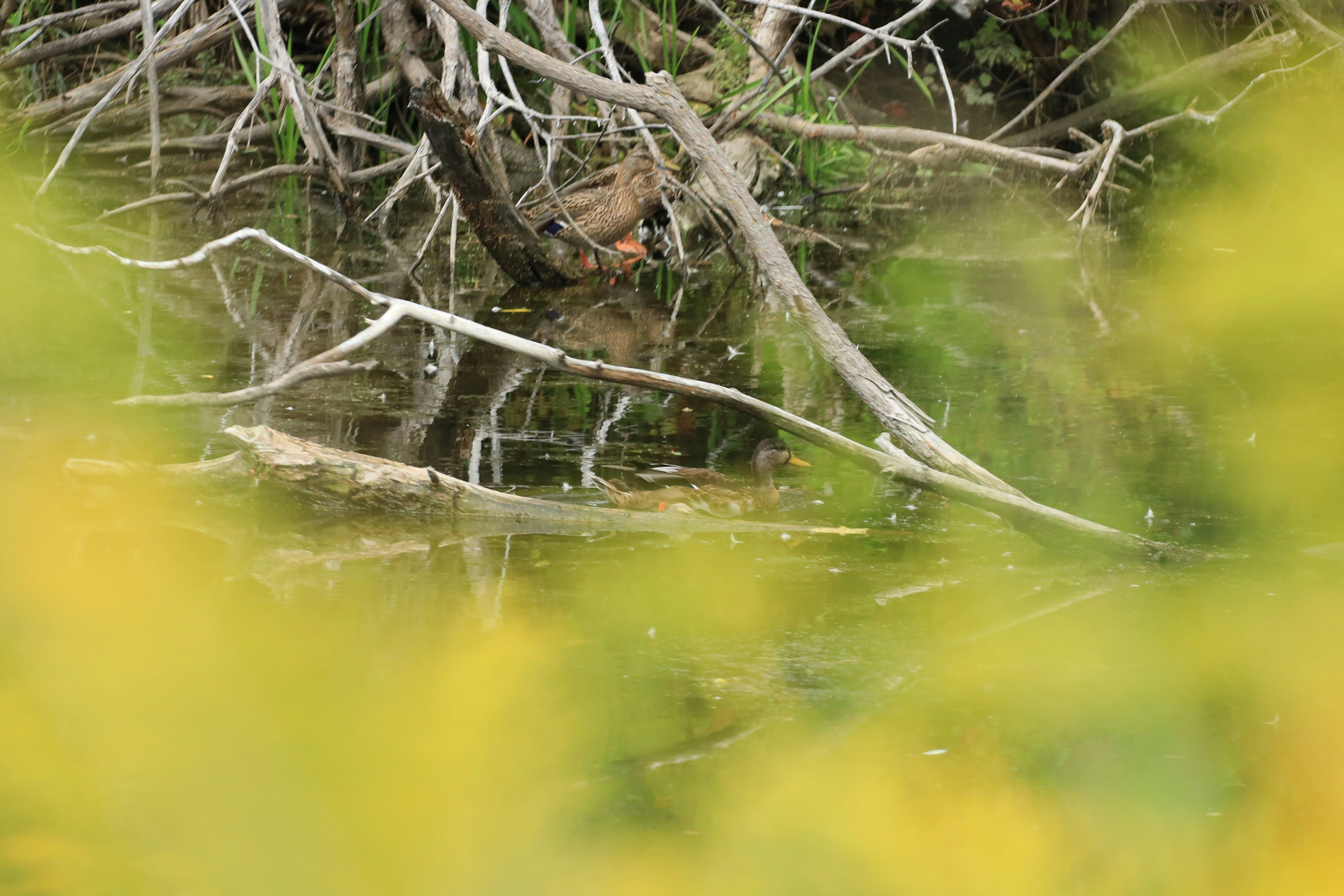 Photo by richardworks