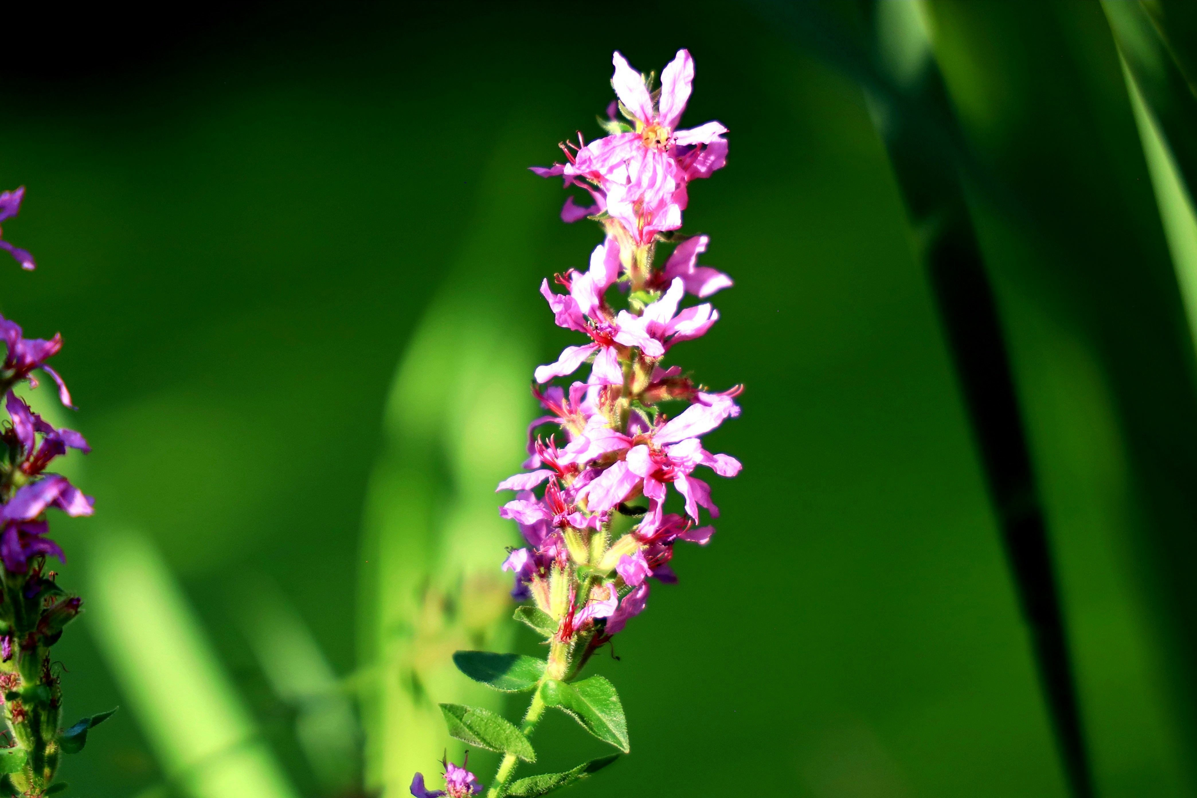 Photo by richardworks