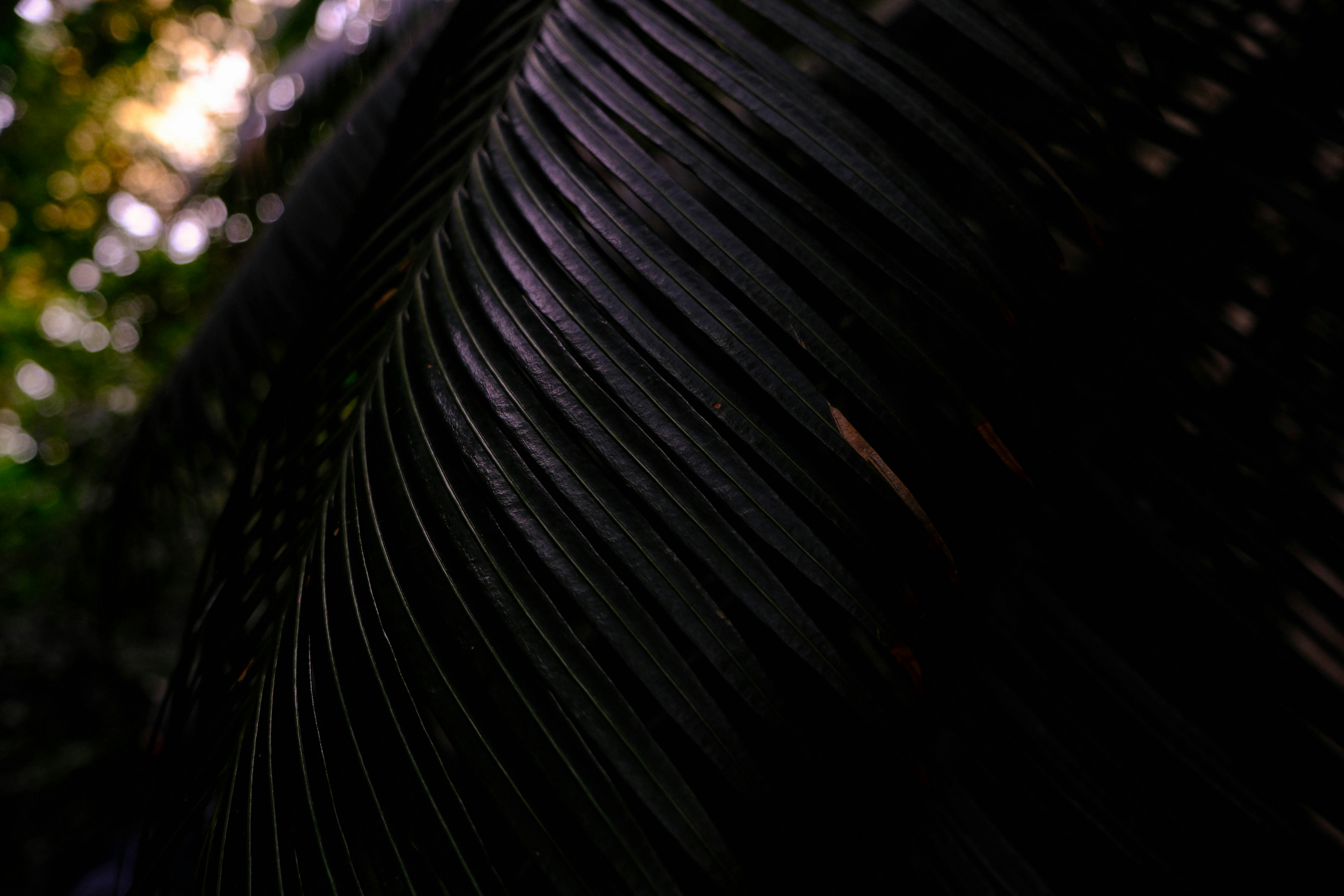 Photo by elenasizontseva