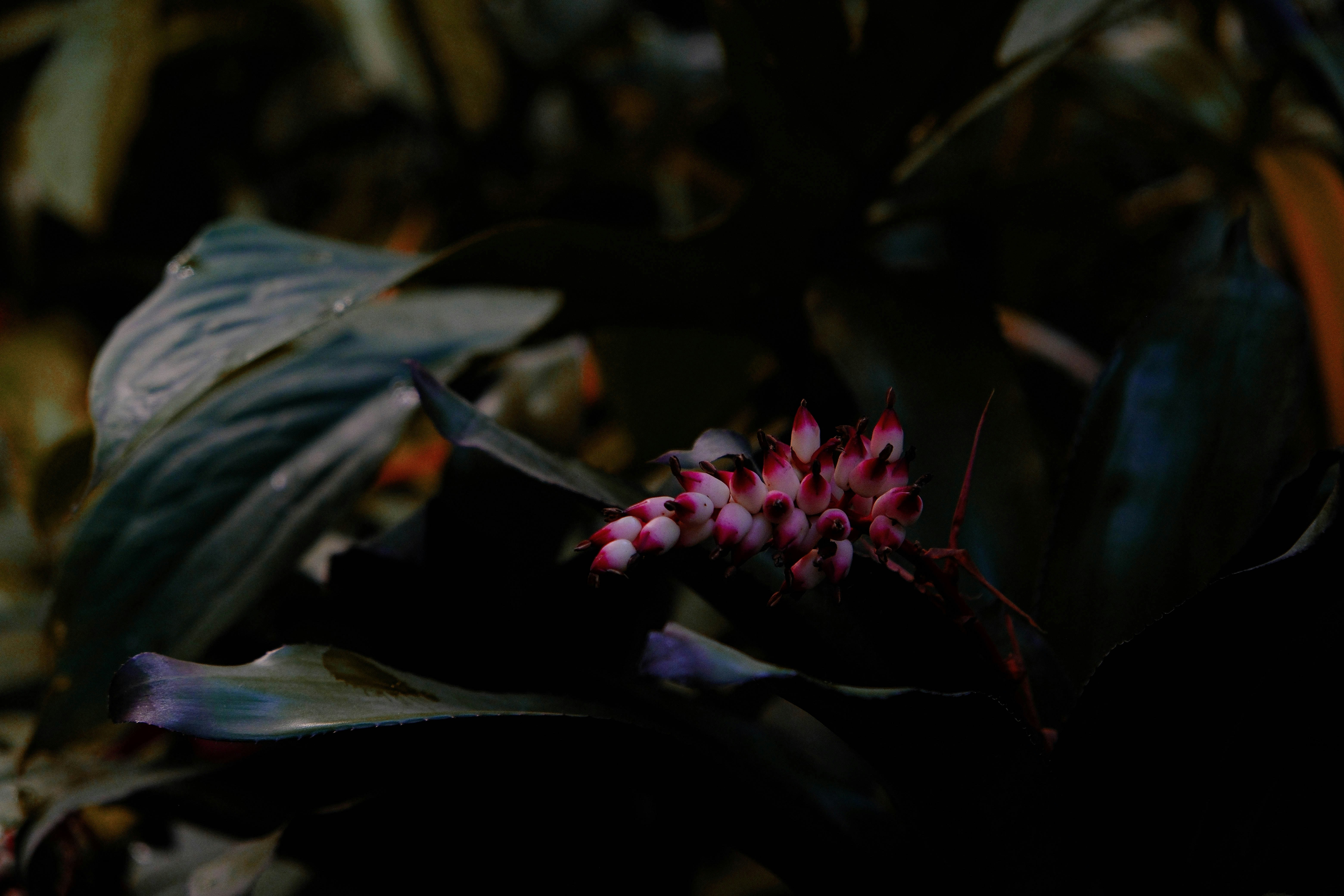 Photo by elenasizontseva