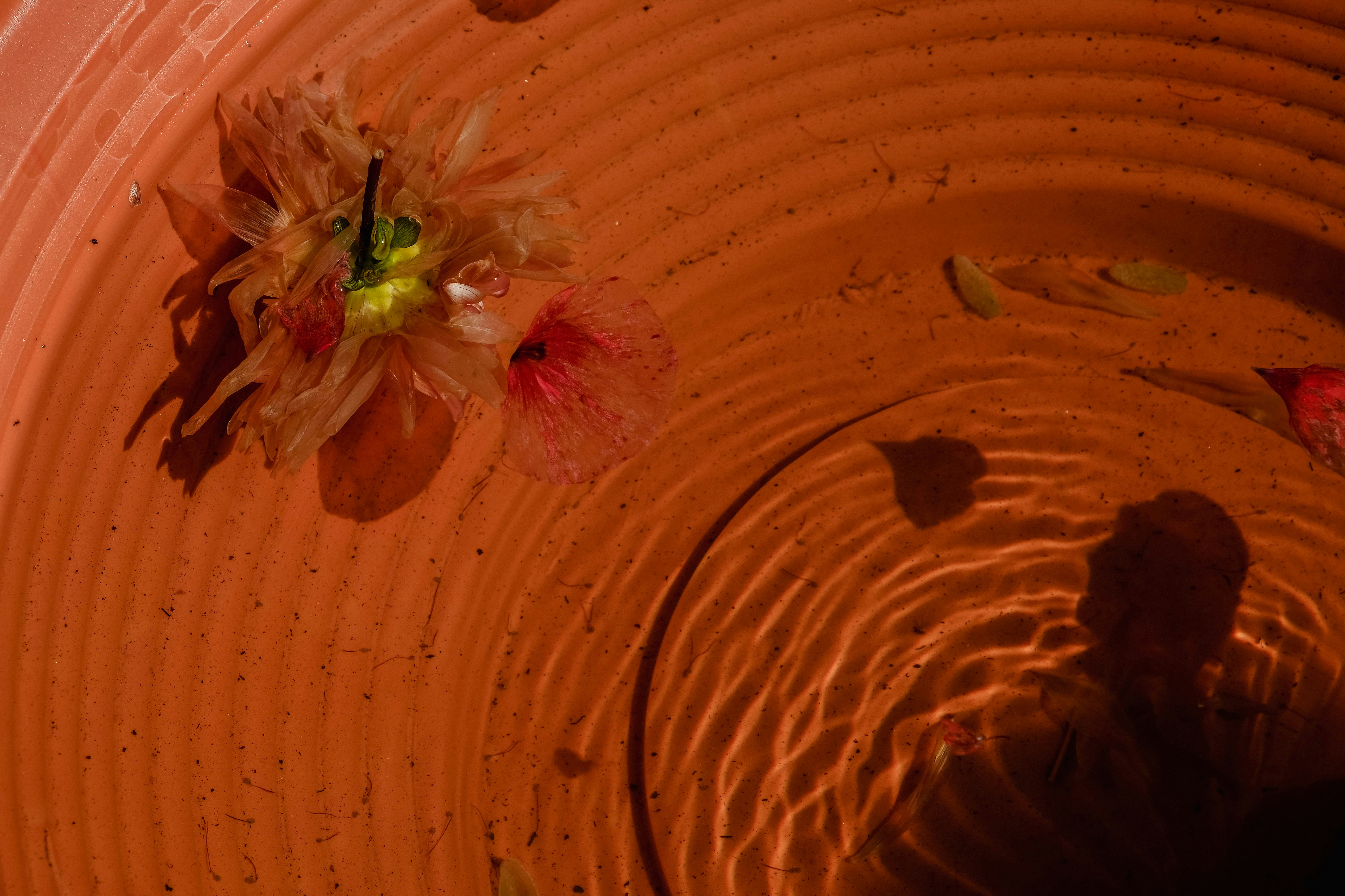 Photo by elenasizontseva