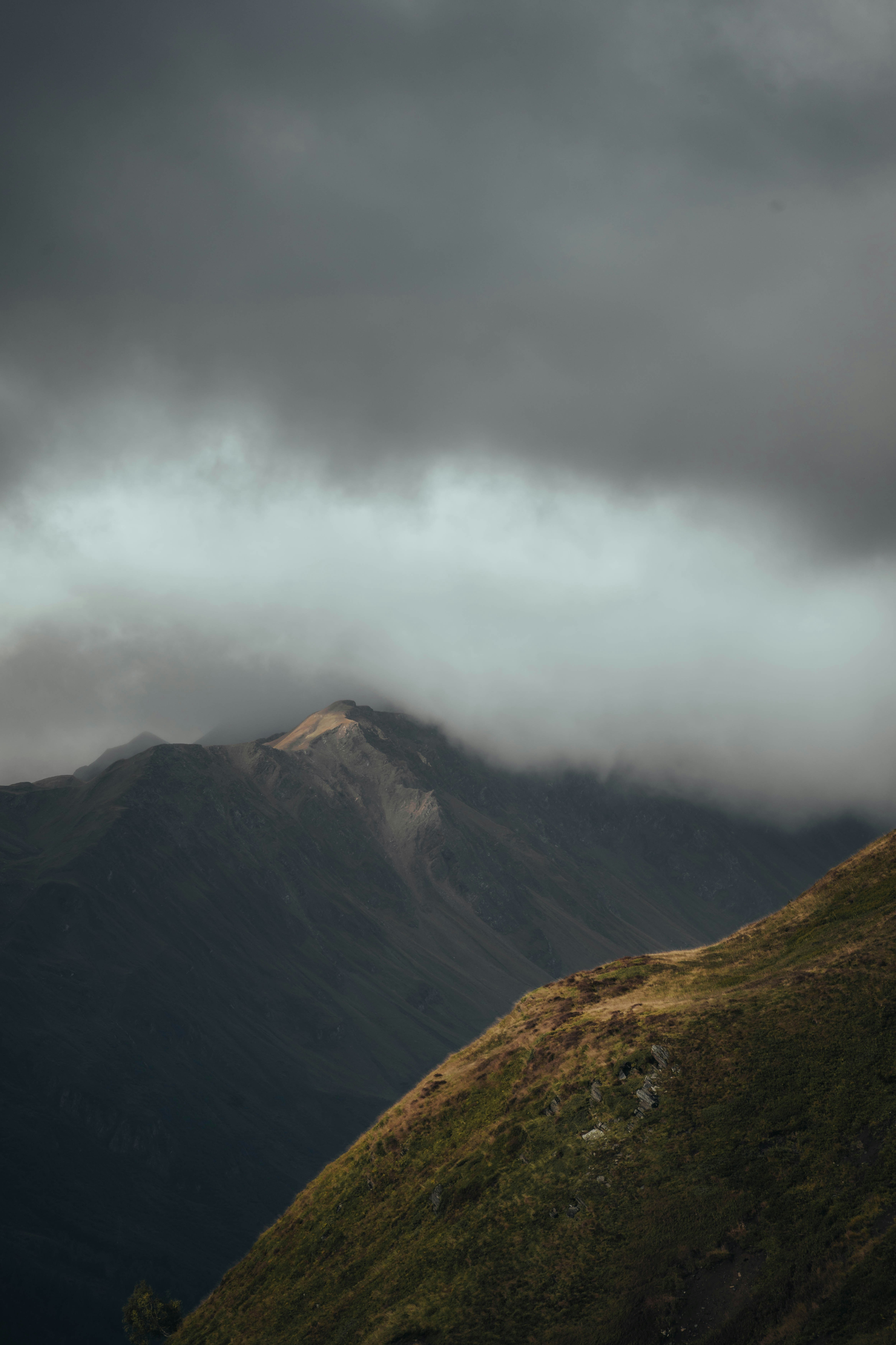 Photo by jonasdegener