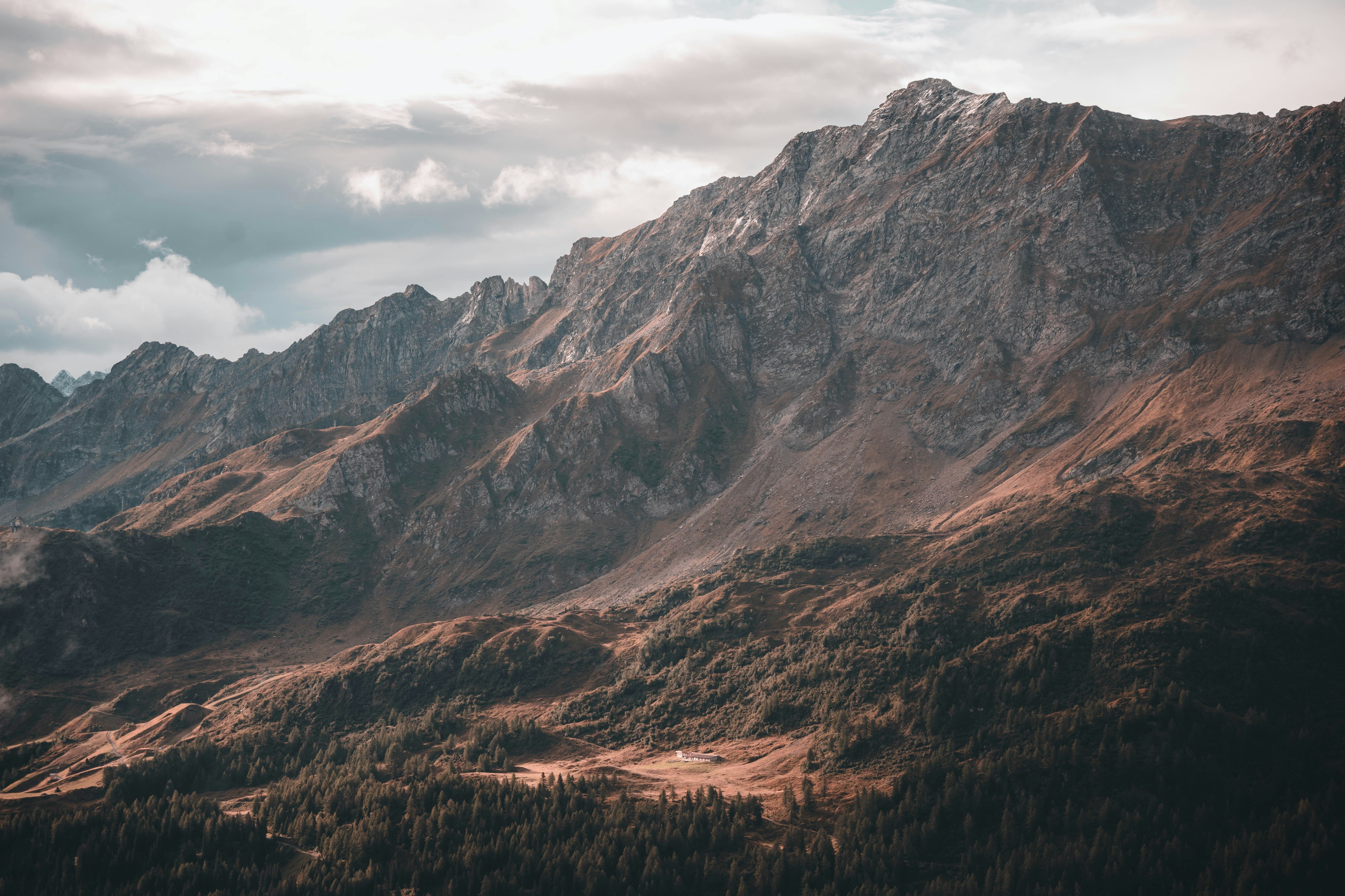 Photo by jonasdegener