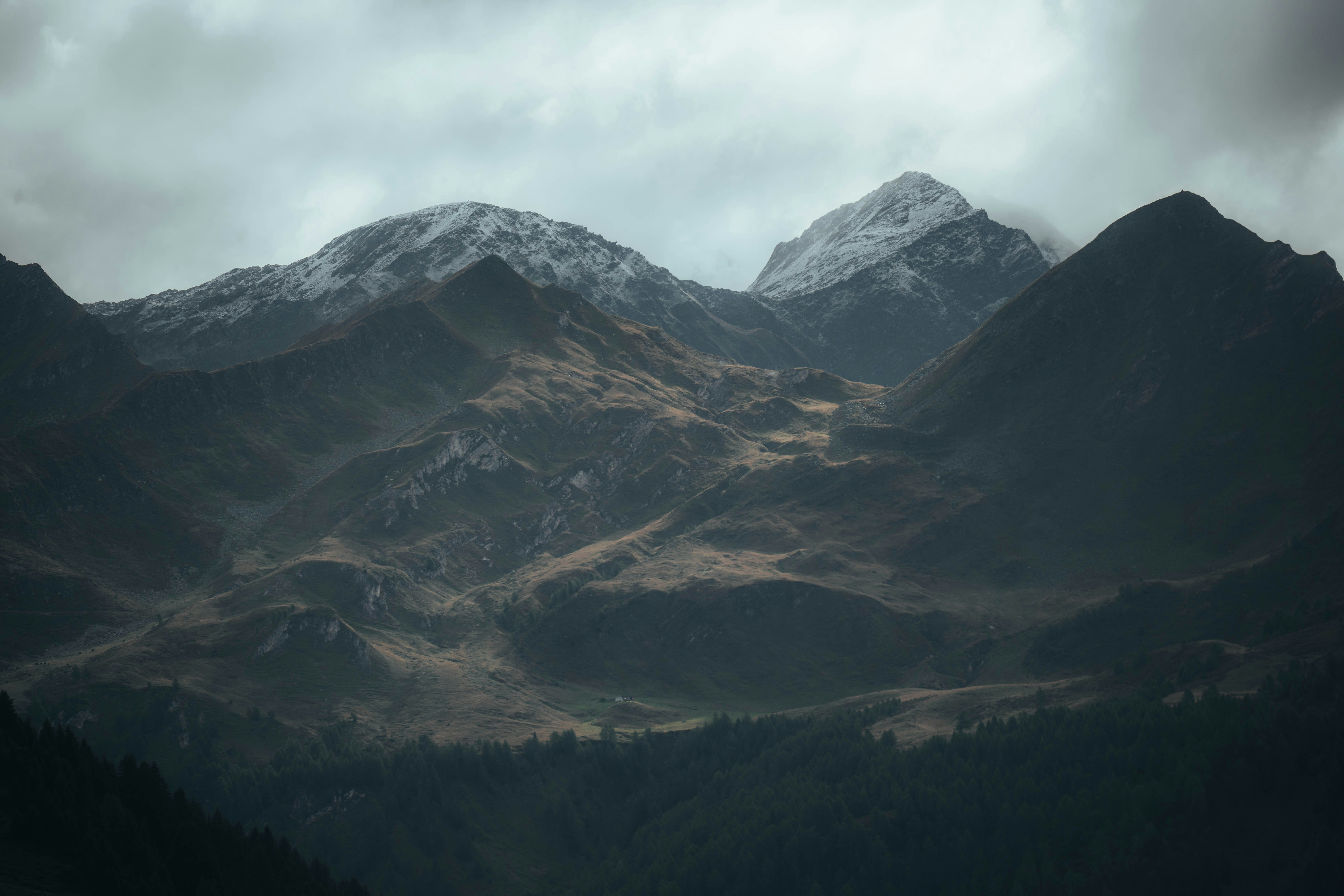 Photo by jonasdegener