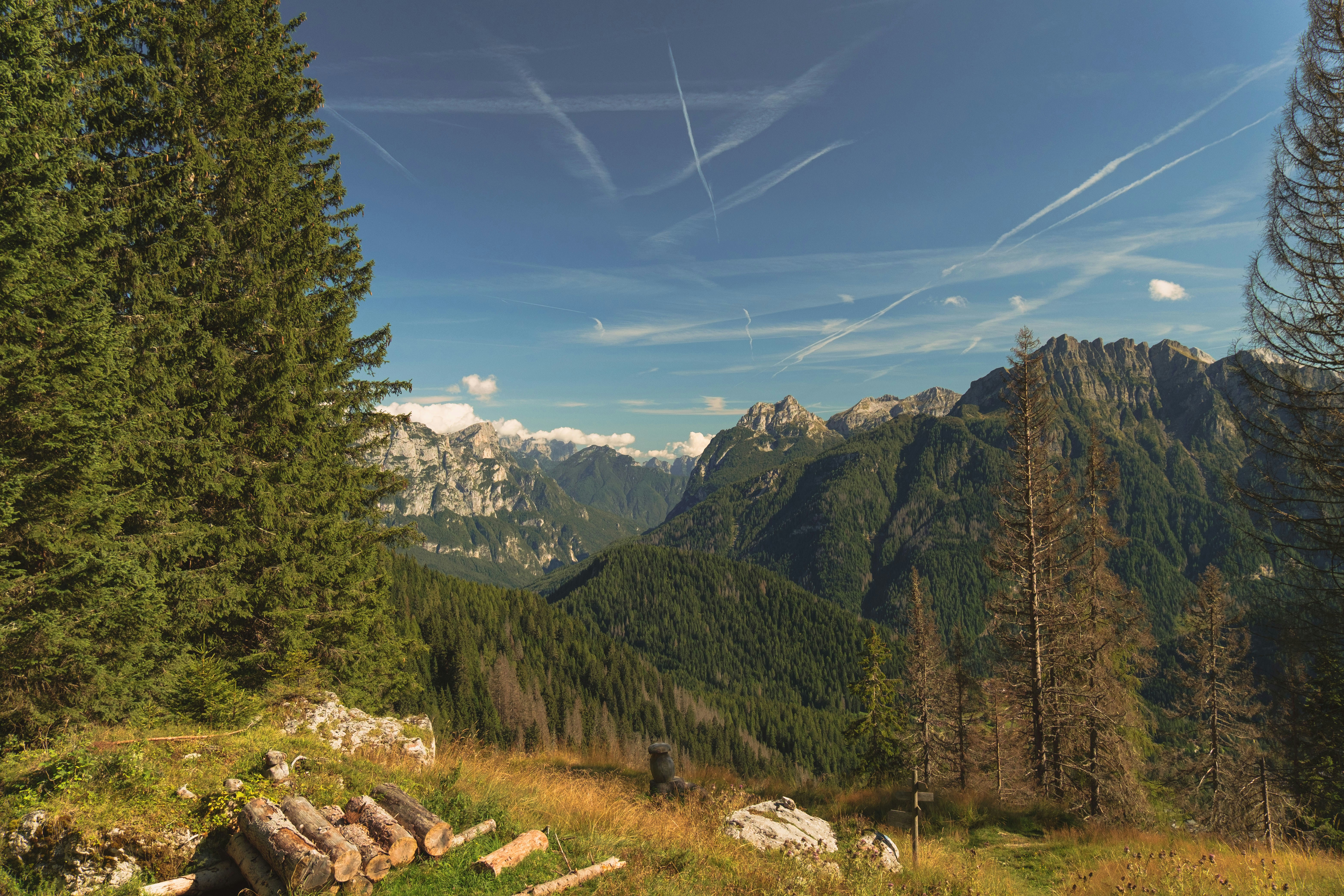 Paesaggio montano con alberi sempreverdi e cielo blu.