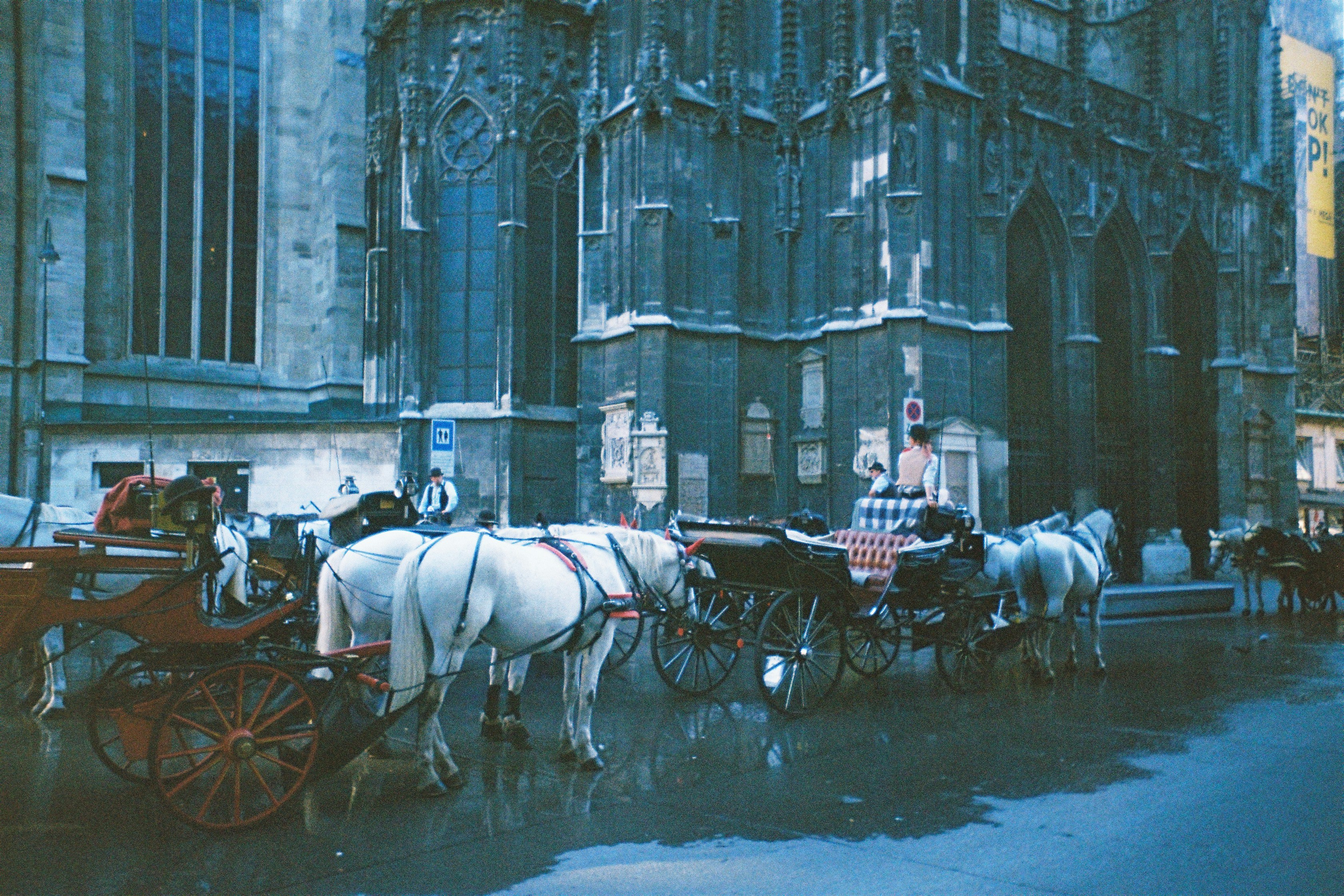 Photo by shalva_dekanozishvili