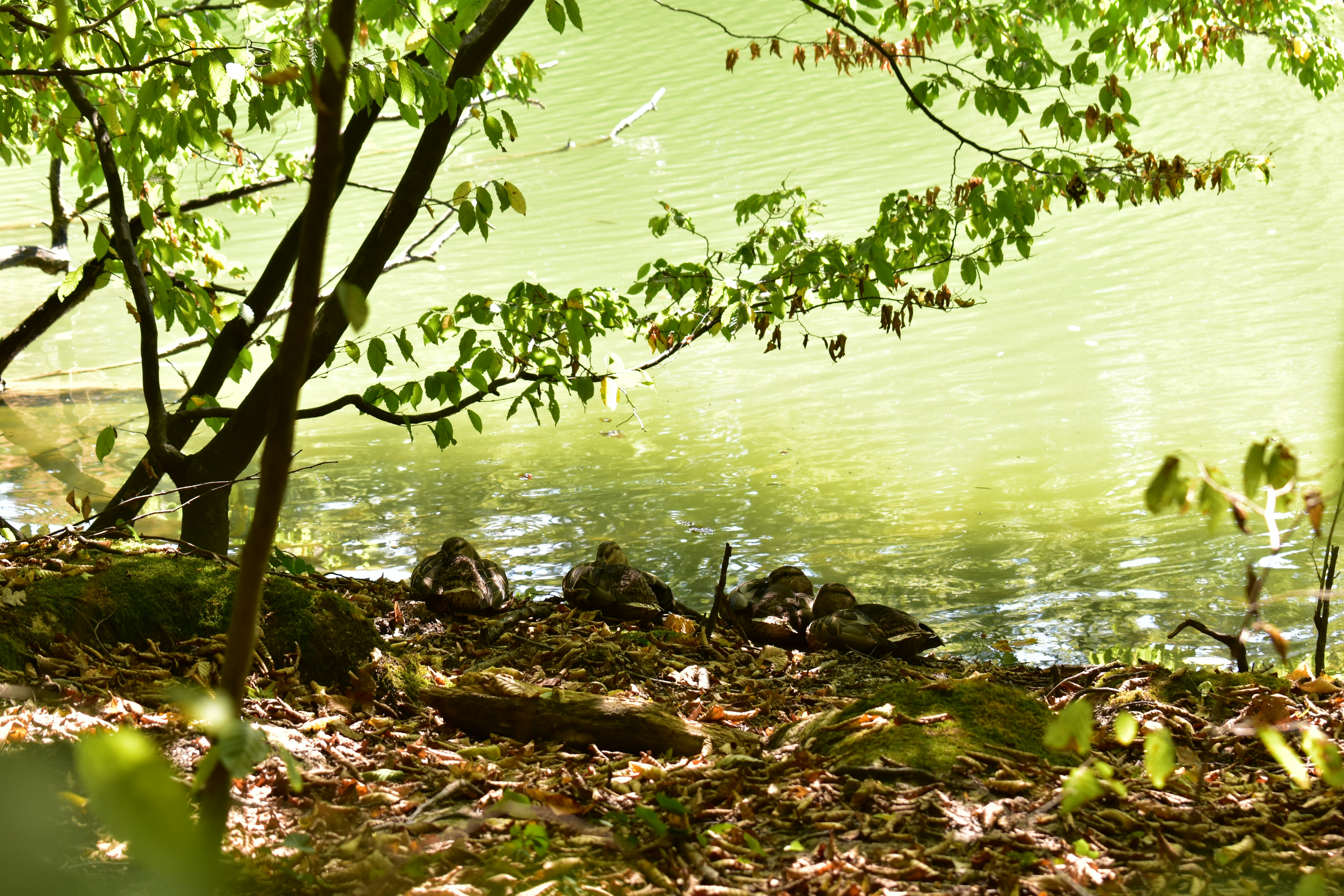 Photo by carboneternity