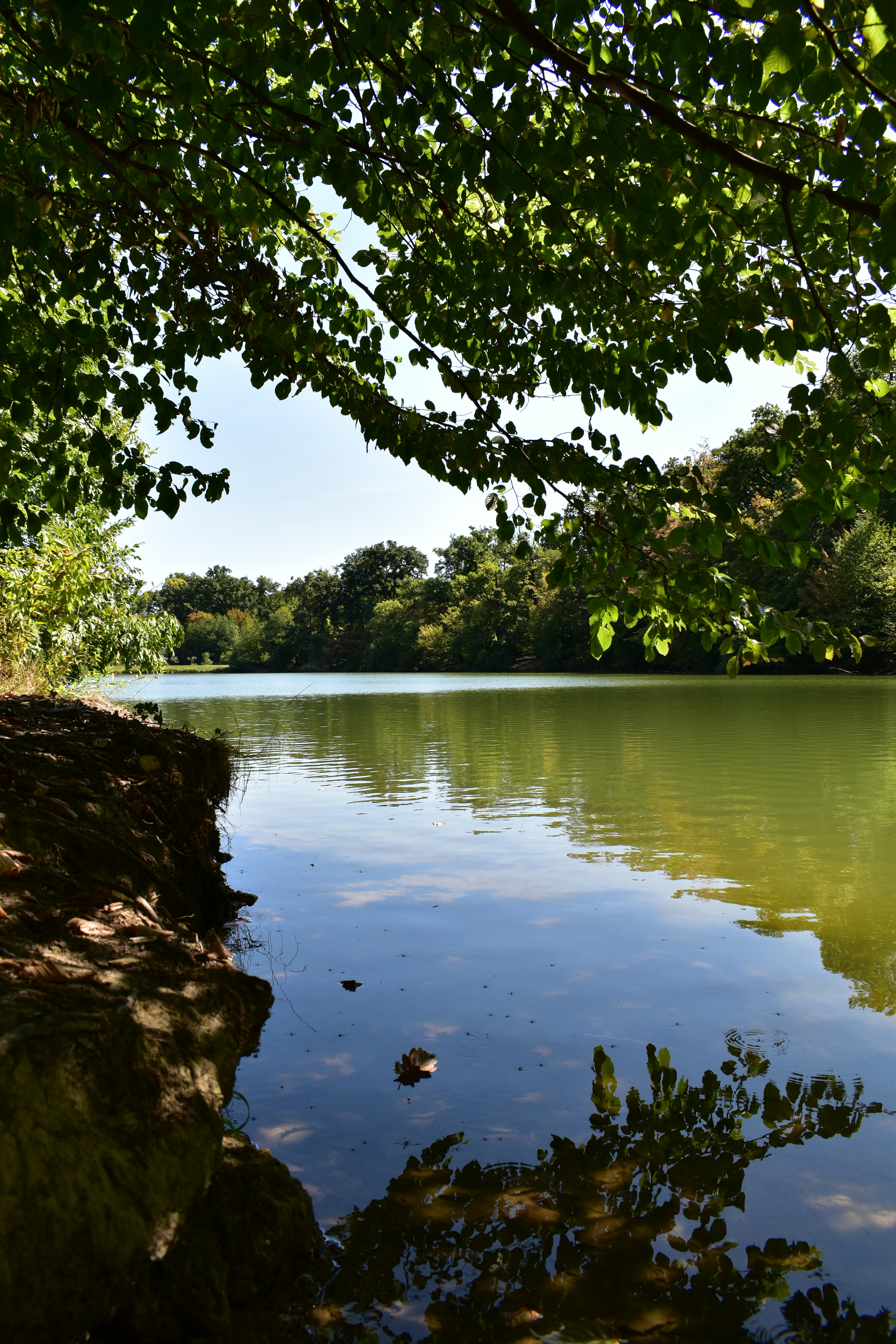 Photo by carboneternity