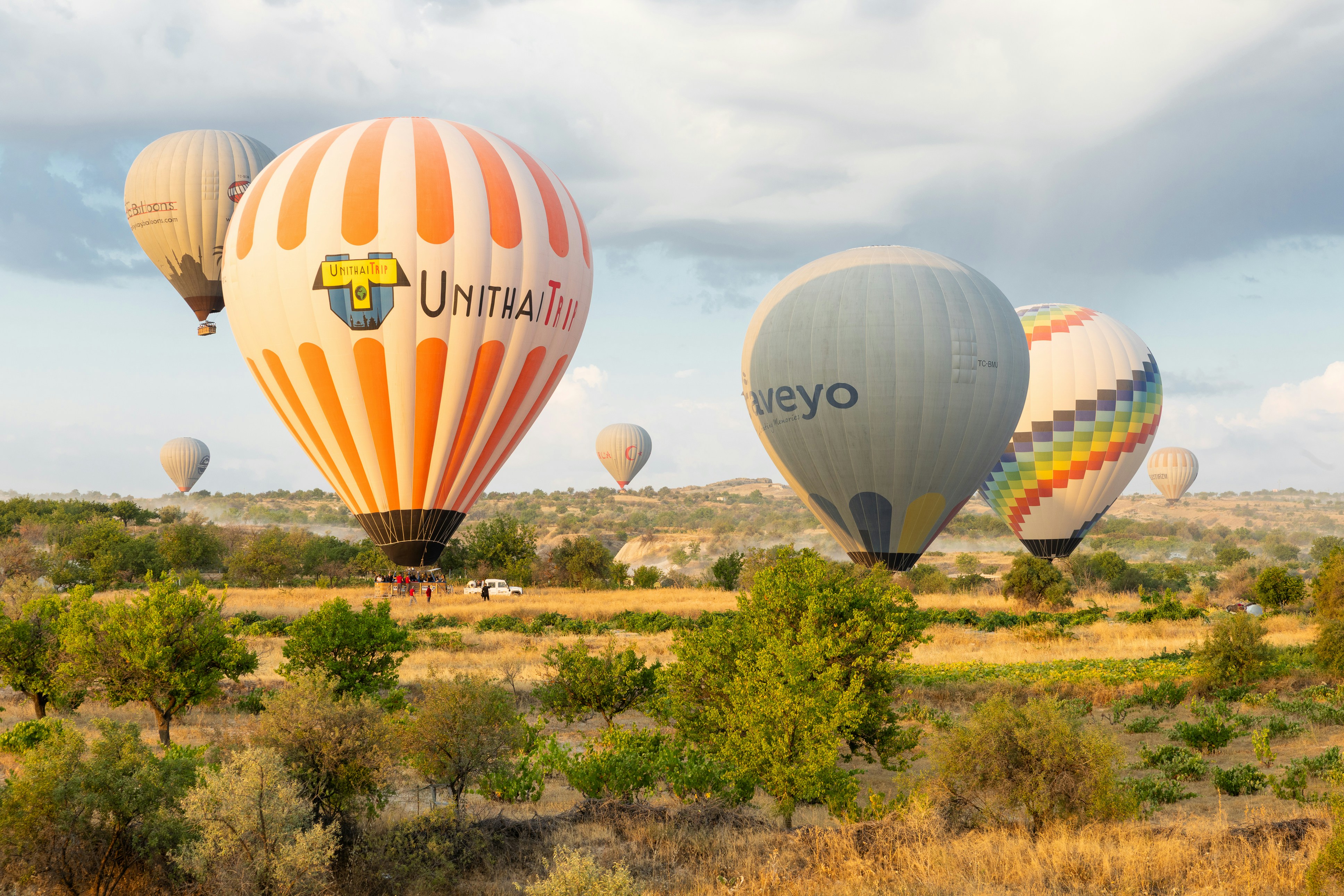 Hot air balloons ascend over a dry, grassy landscape.