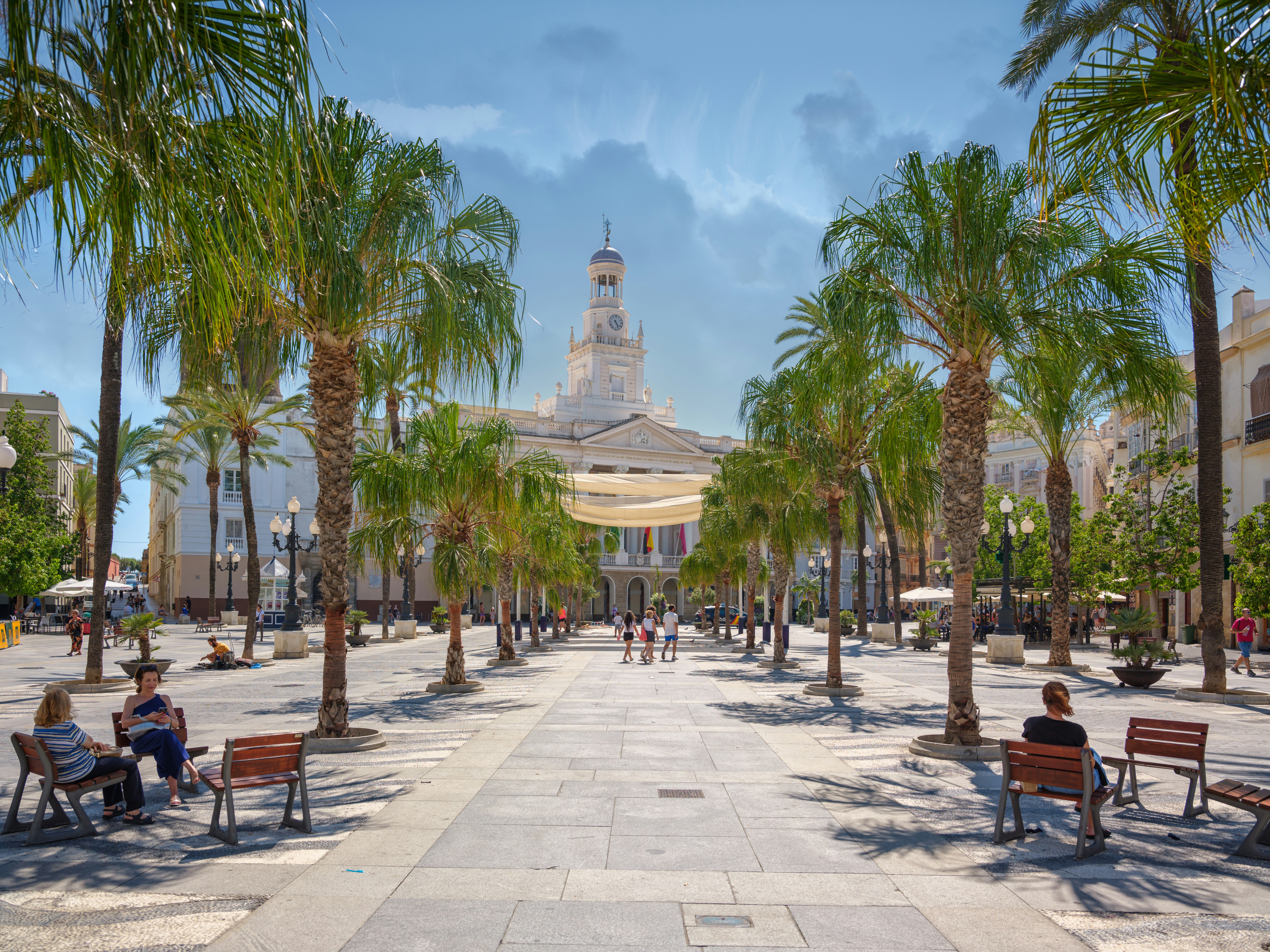Von Palmen gesäumter Platz, der zu einem großen Gebäude führt.