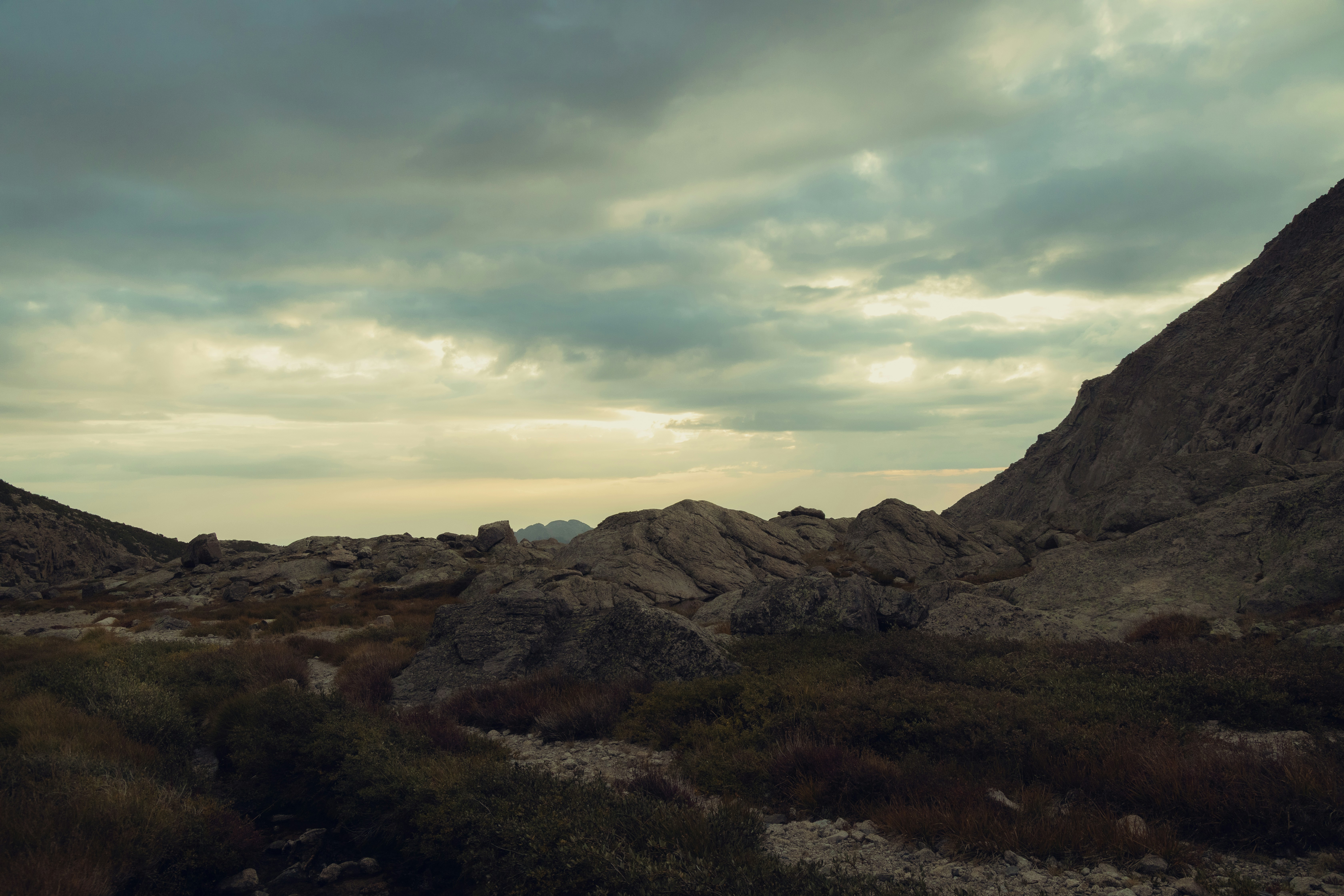 Photo by ldpeterson11