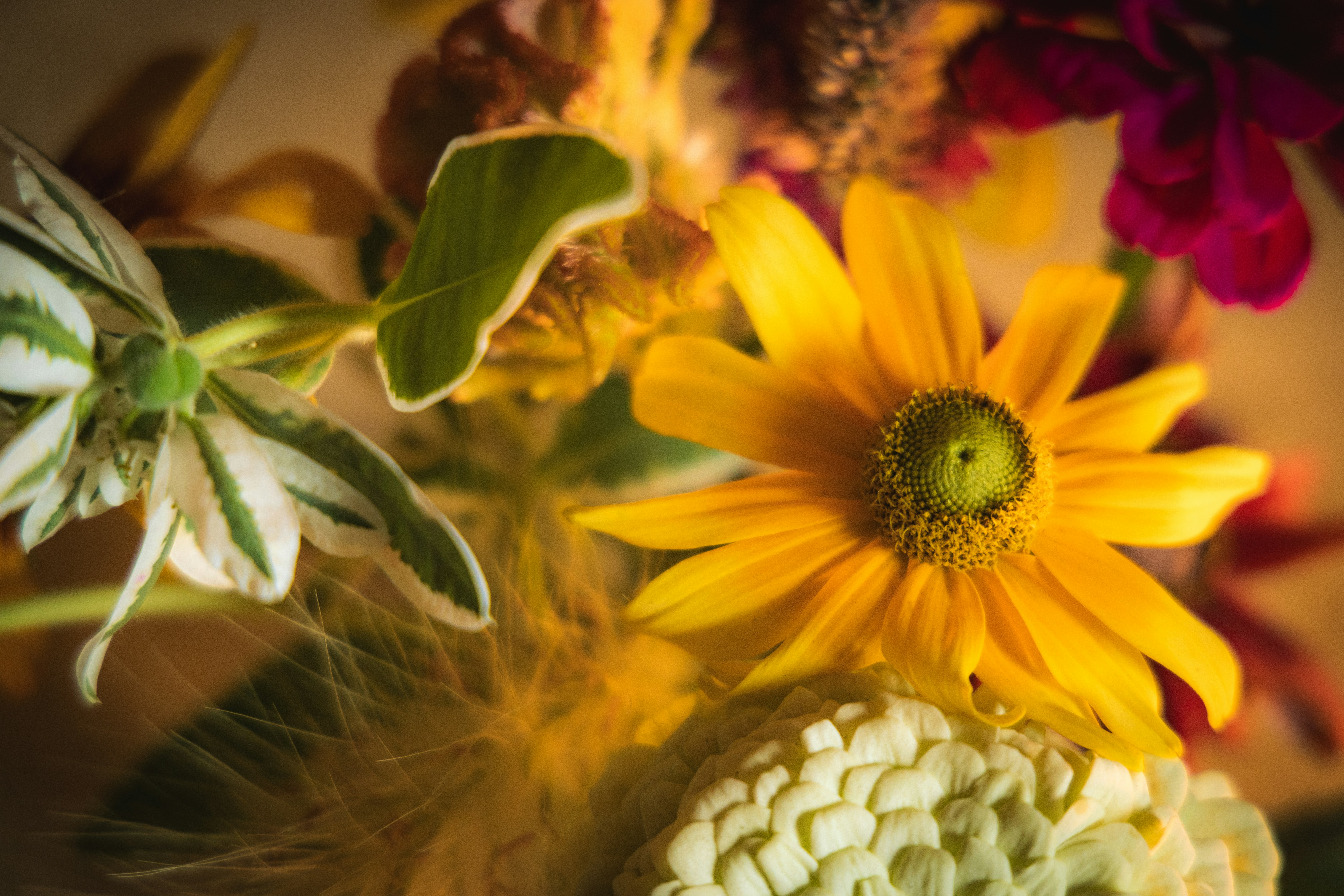 다른 꽃과 함께 생생한 노란색 꽃의 클로즈업.