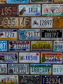 Collection of various license plates from different states.