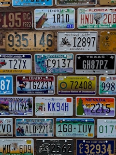 Collection of various license plates from different states.
