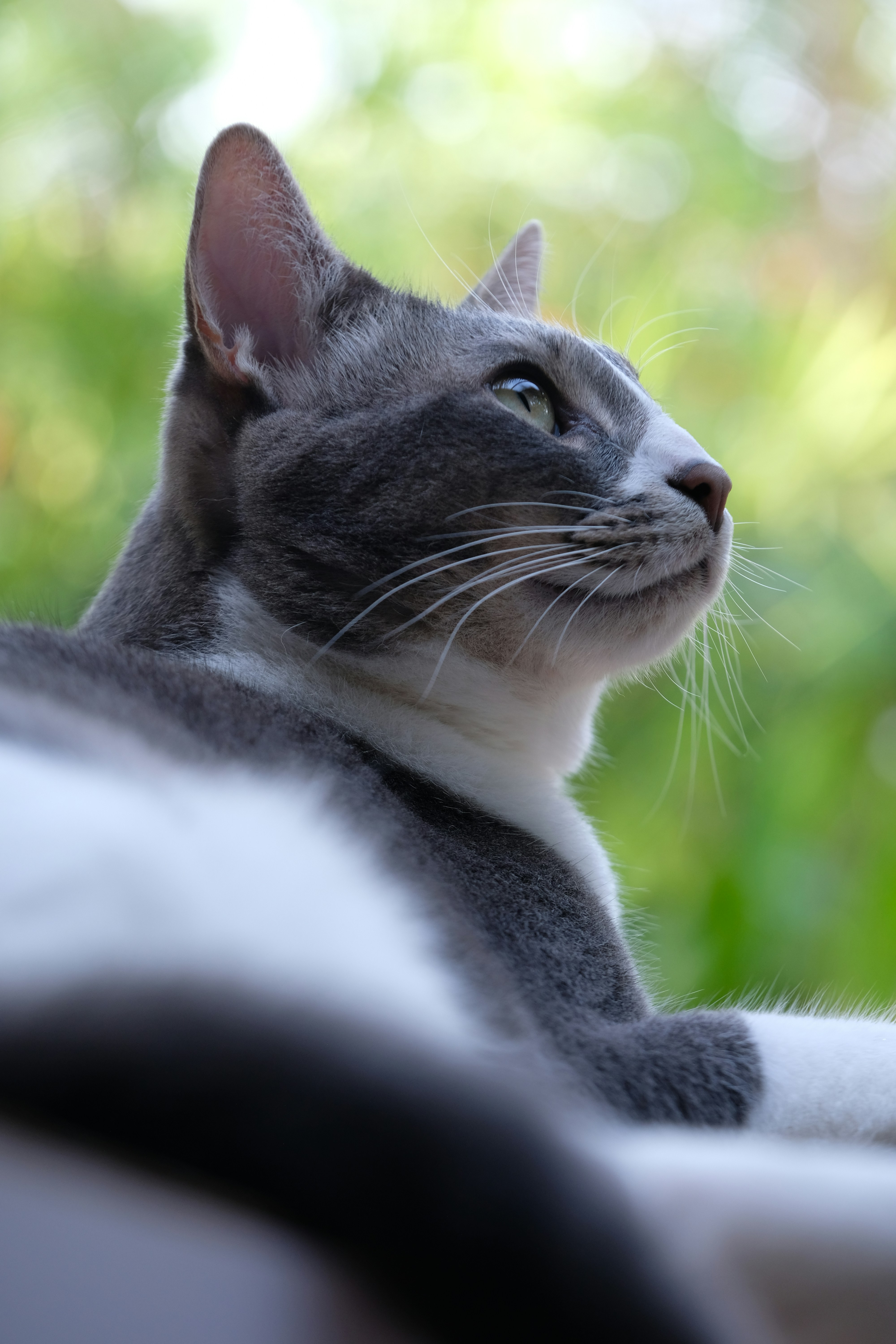 Photo by eedgarivann