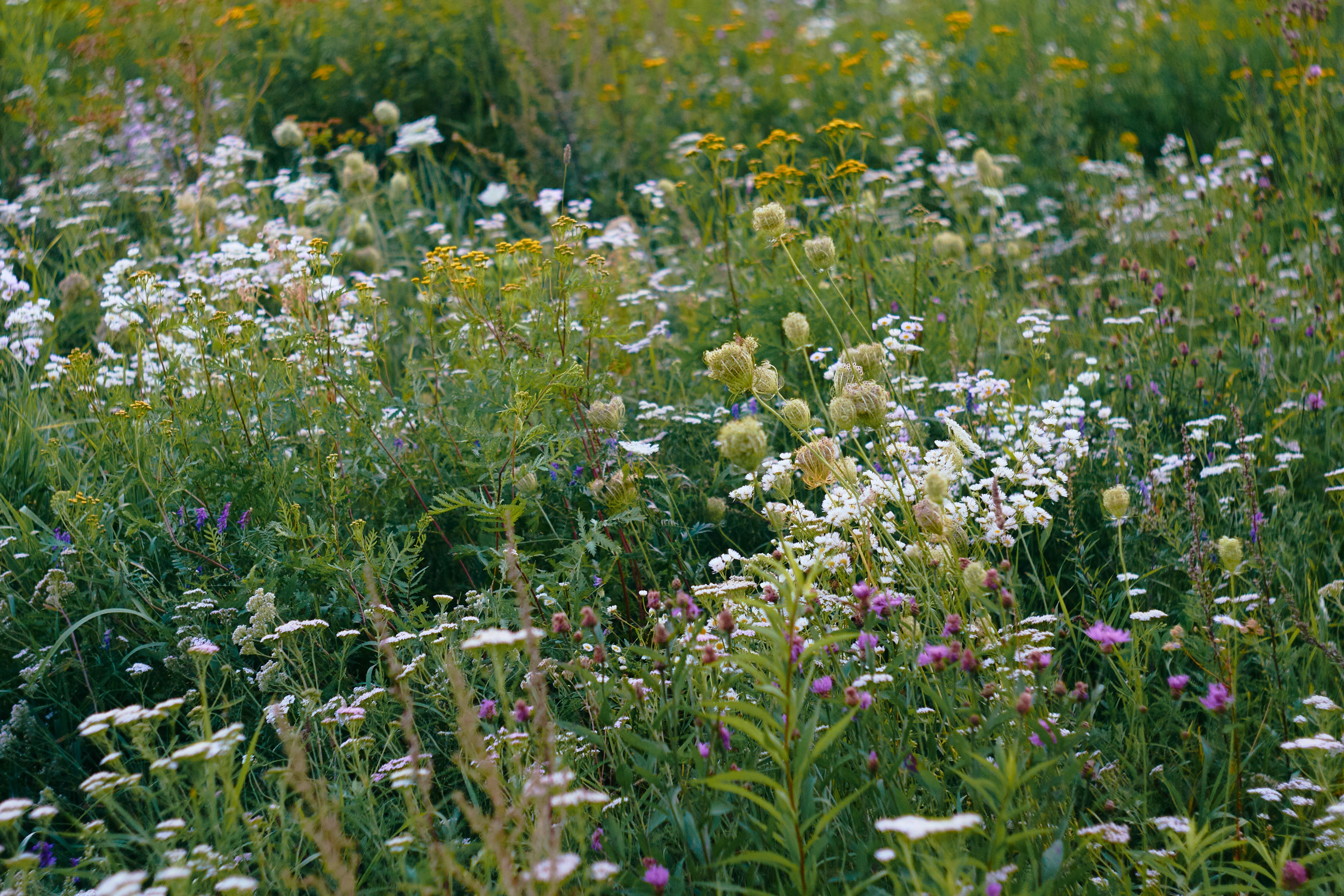 Photo by hannaxsulphur