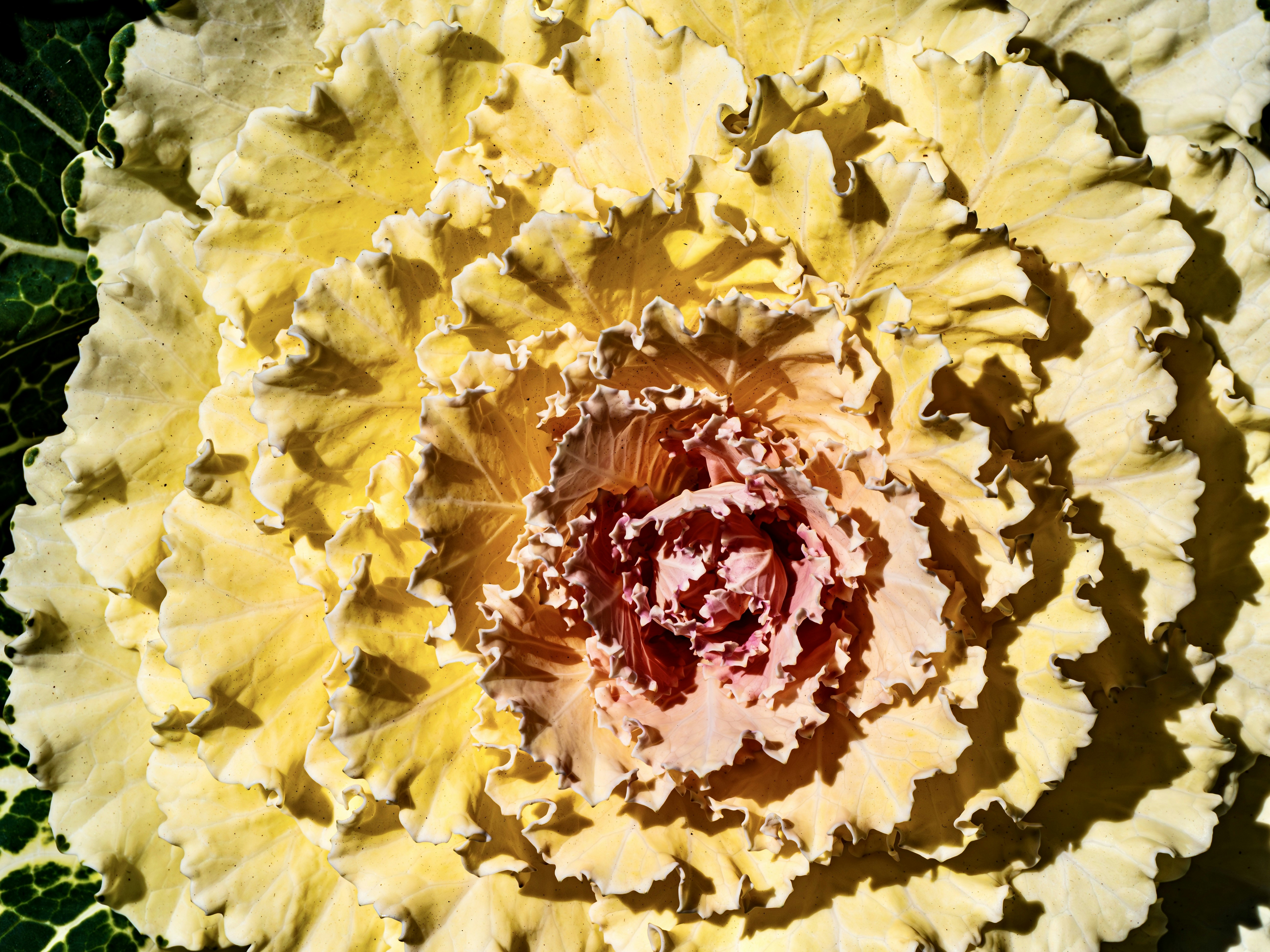 National Pineapple Upside Down Cake Day