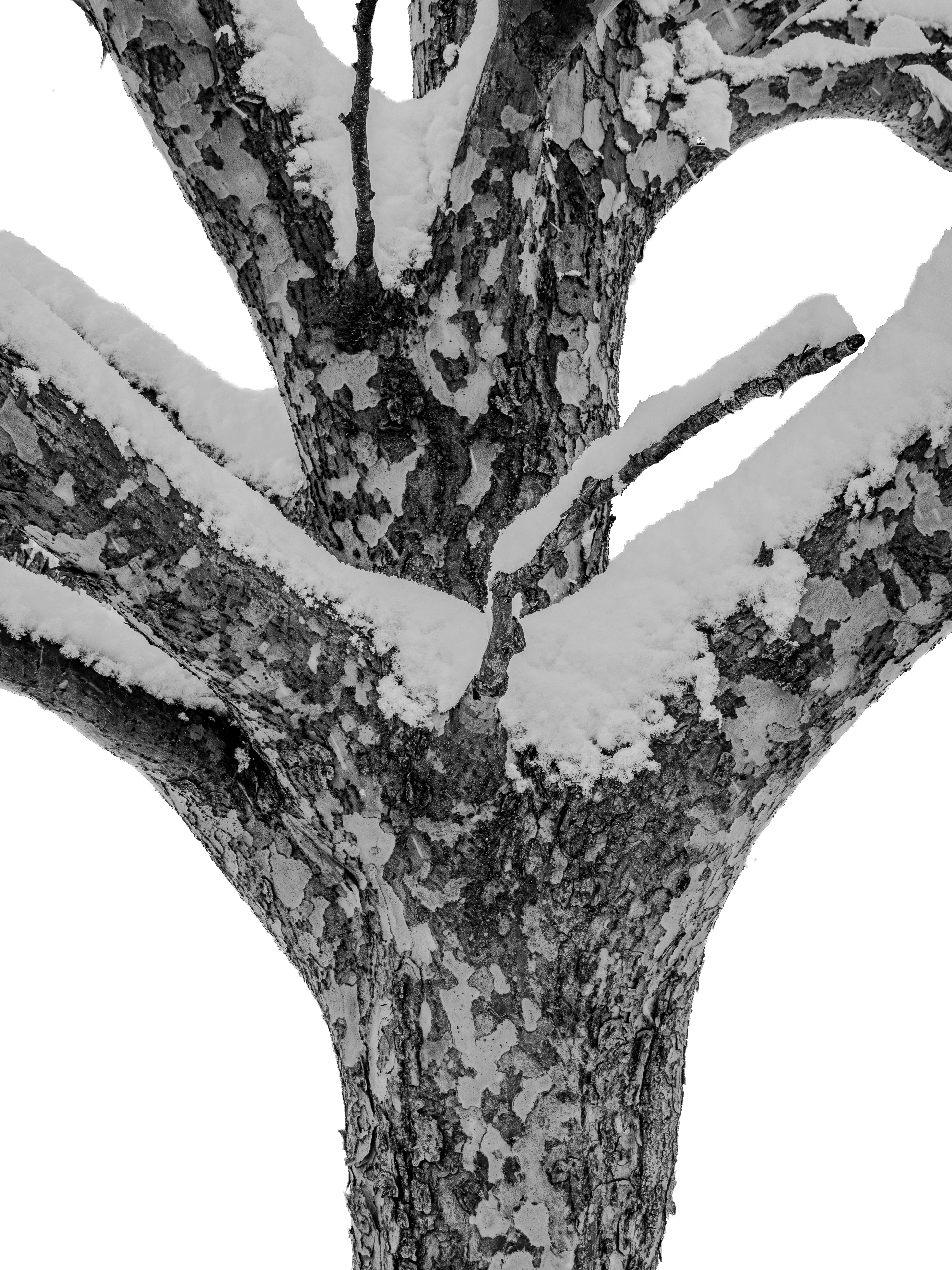 Photo by sschusterphotoart