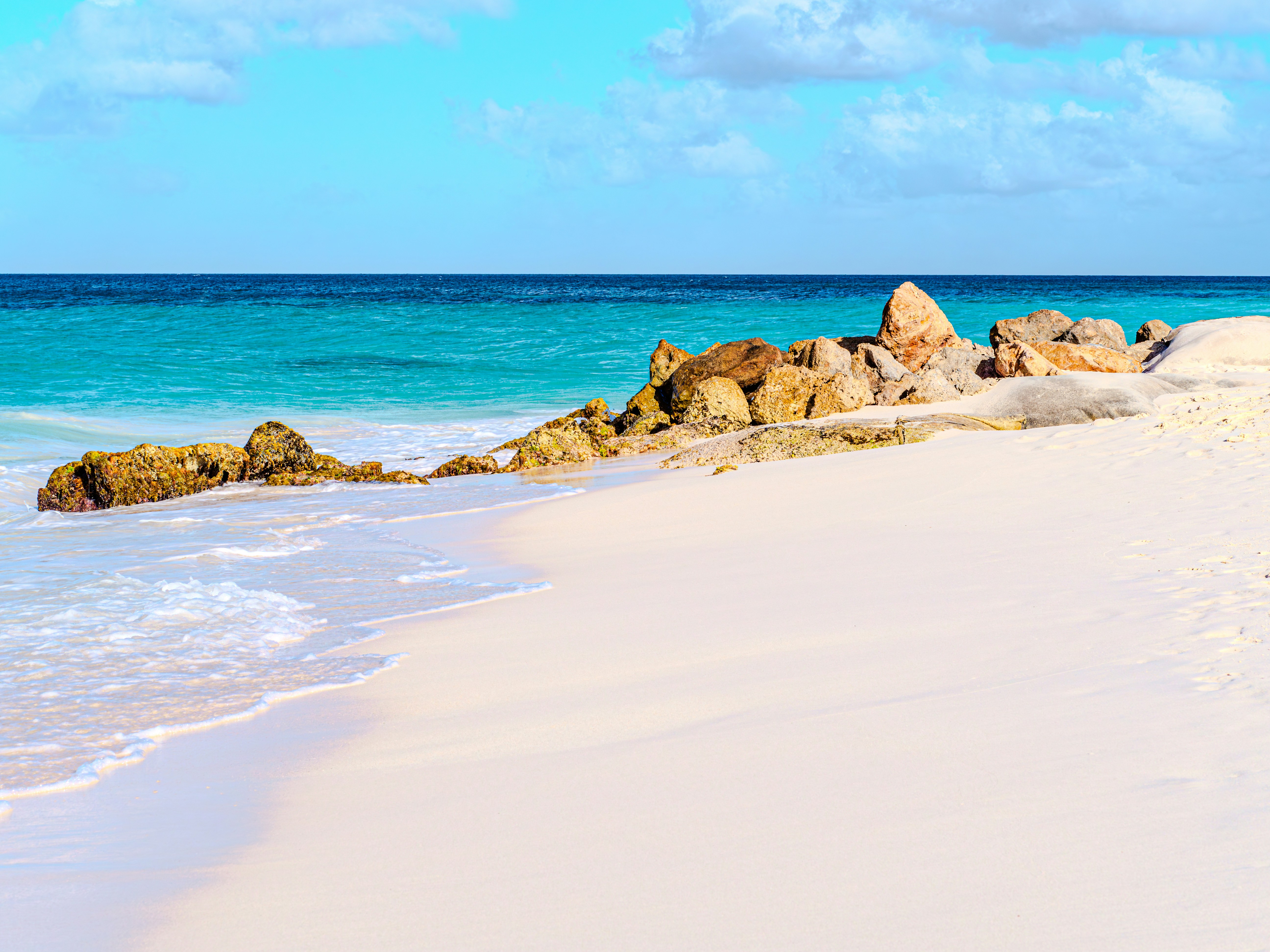 Photo by sschusterphotoart