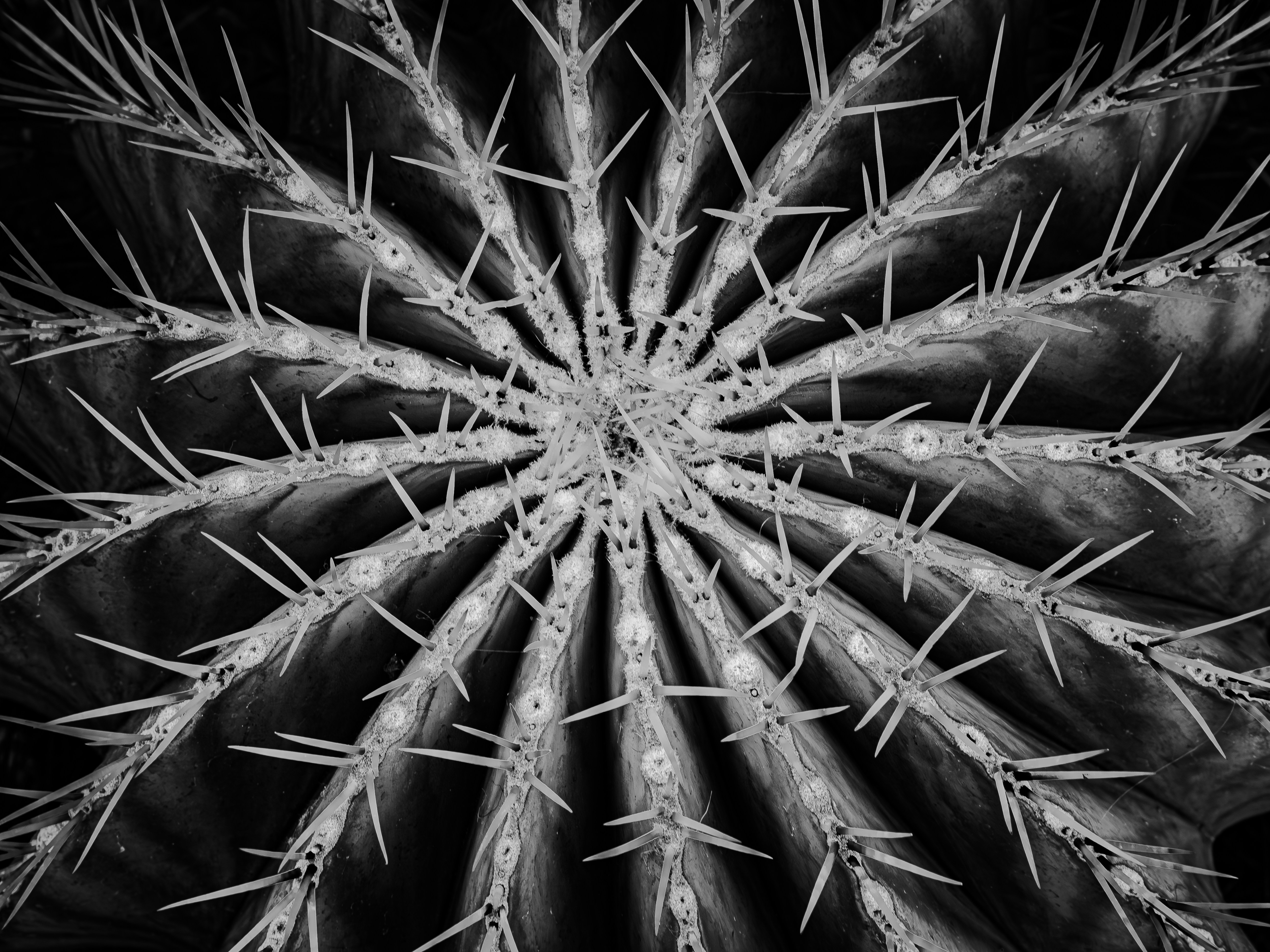 Photo by sschusterphotoart