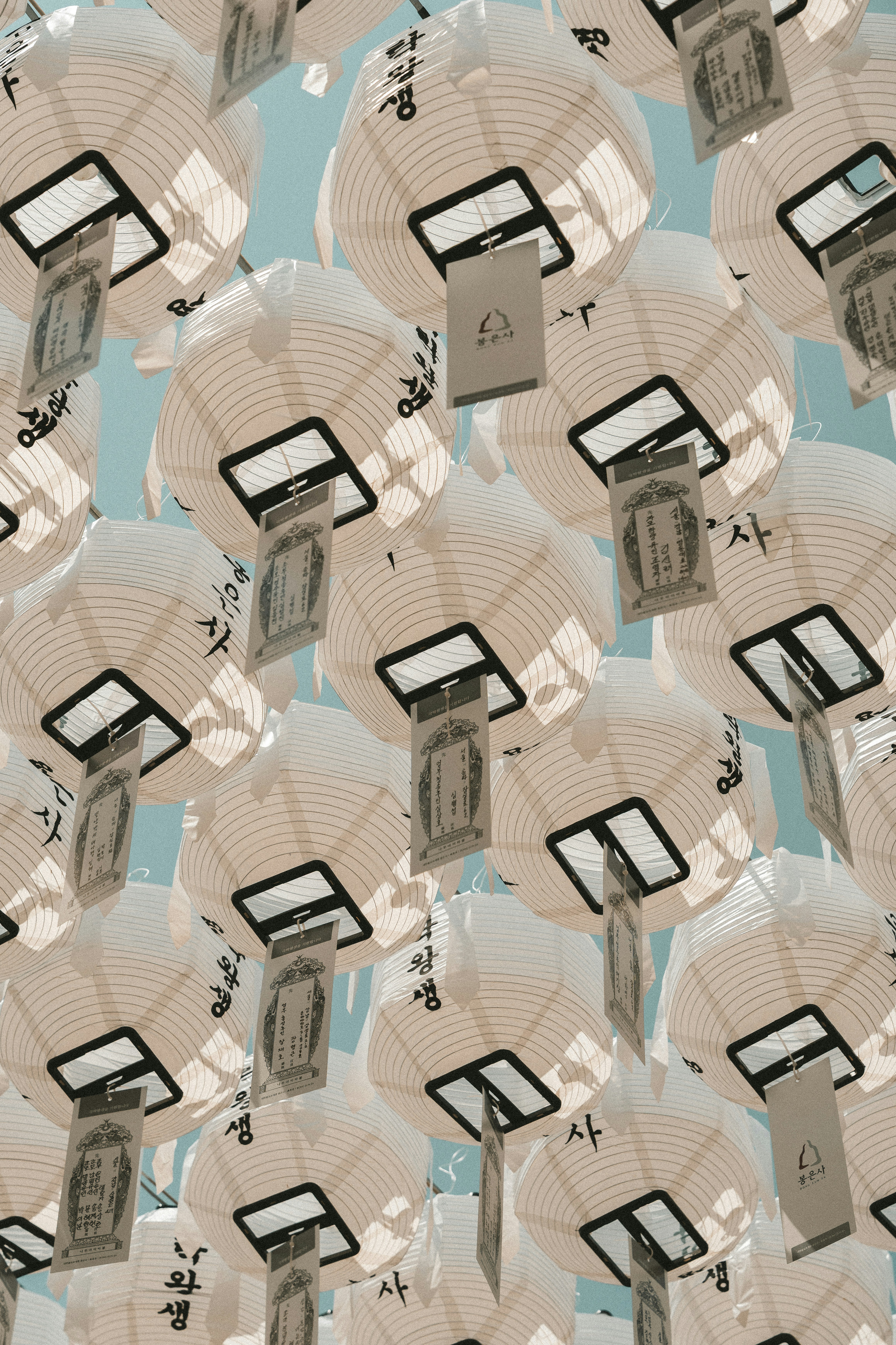 Many white paper lanterns hanging against a blue sky.