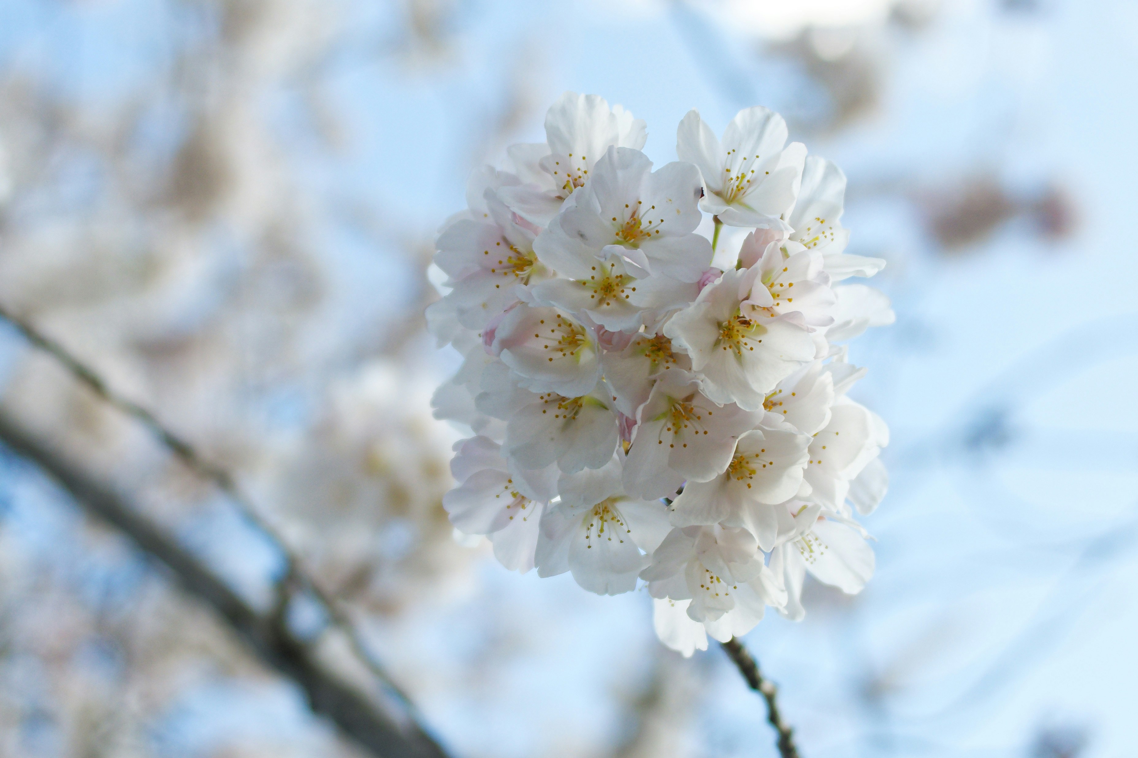 Photo by asphotographypics