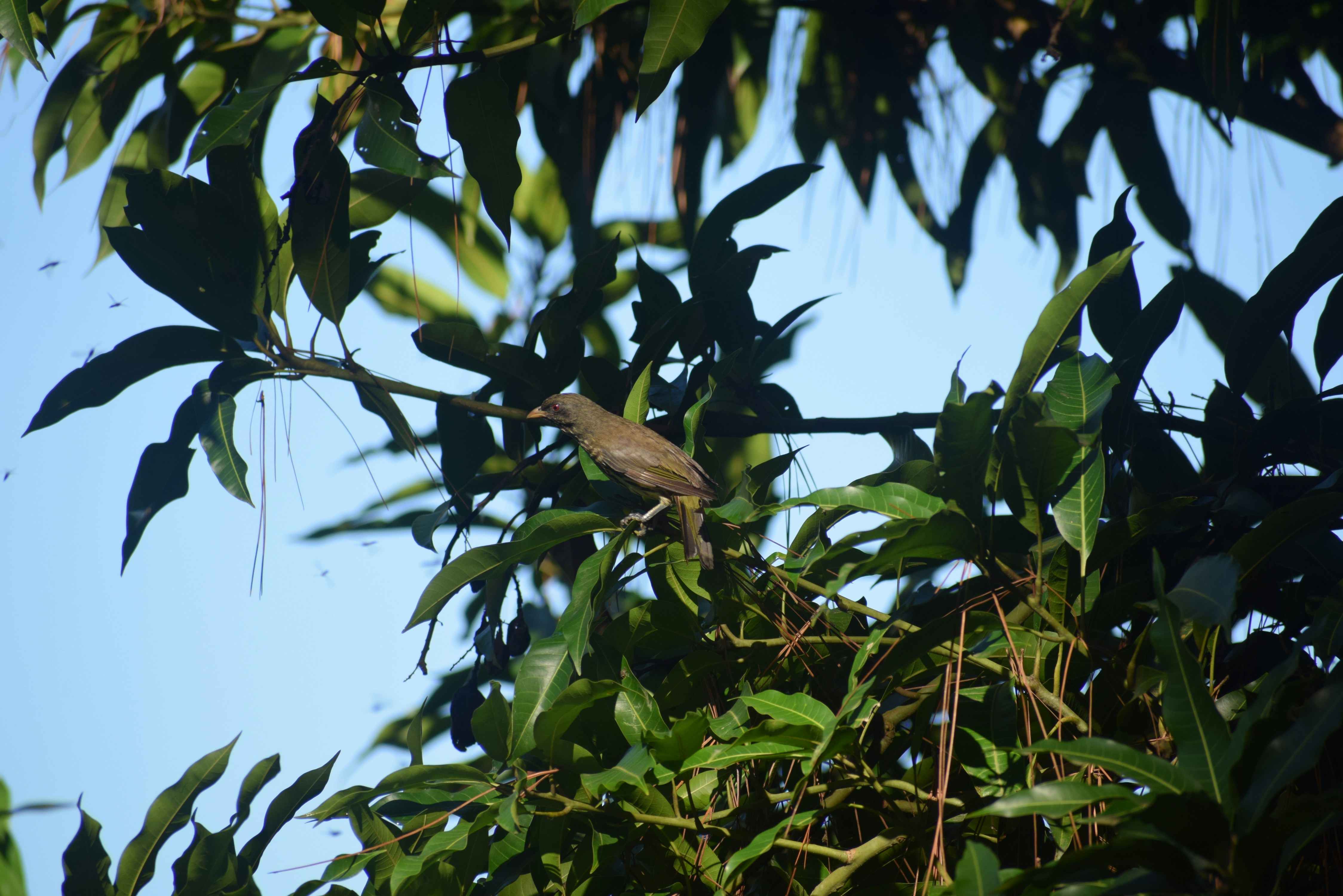 Photo by menesesangel