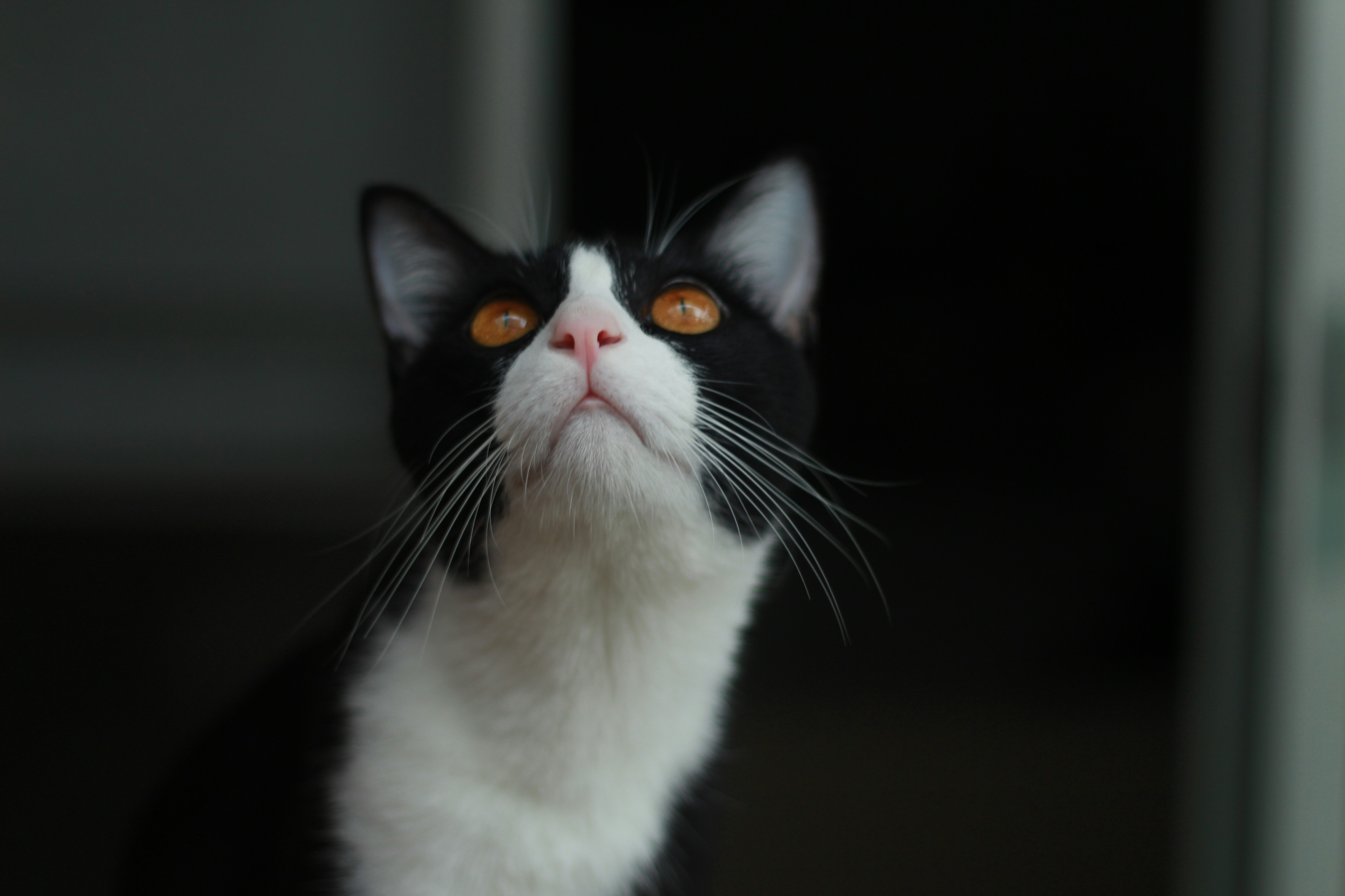 Photo by norapitch_p