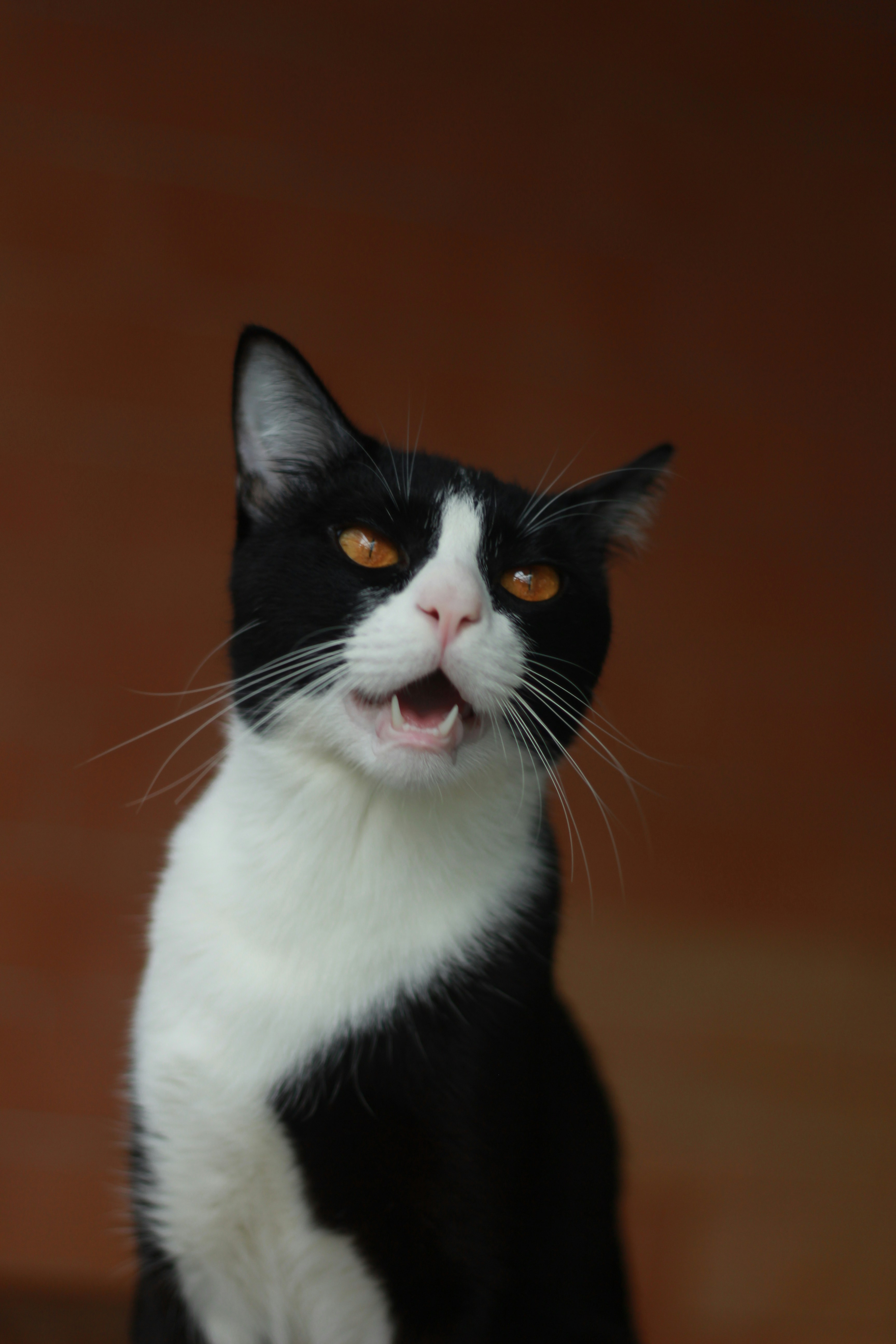 Photo by norapitch_p