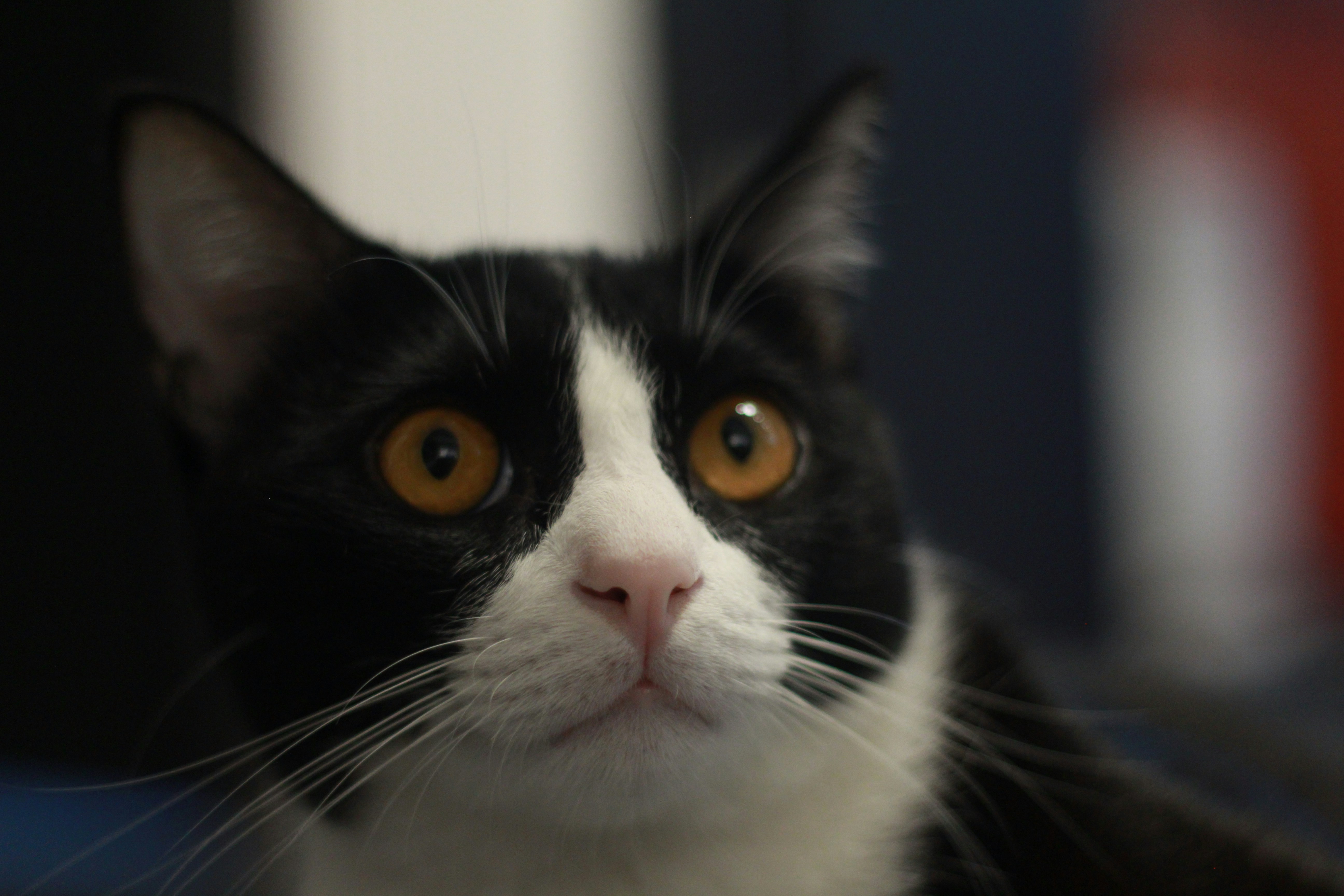 Photo by norapitch_p